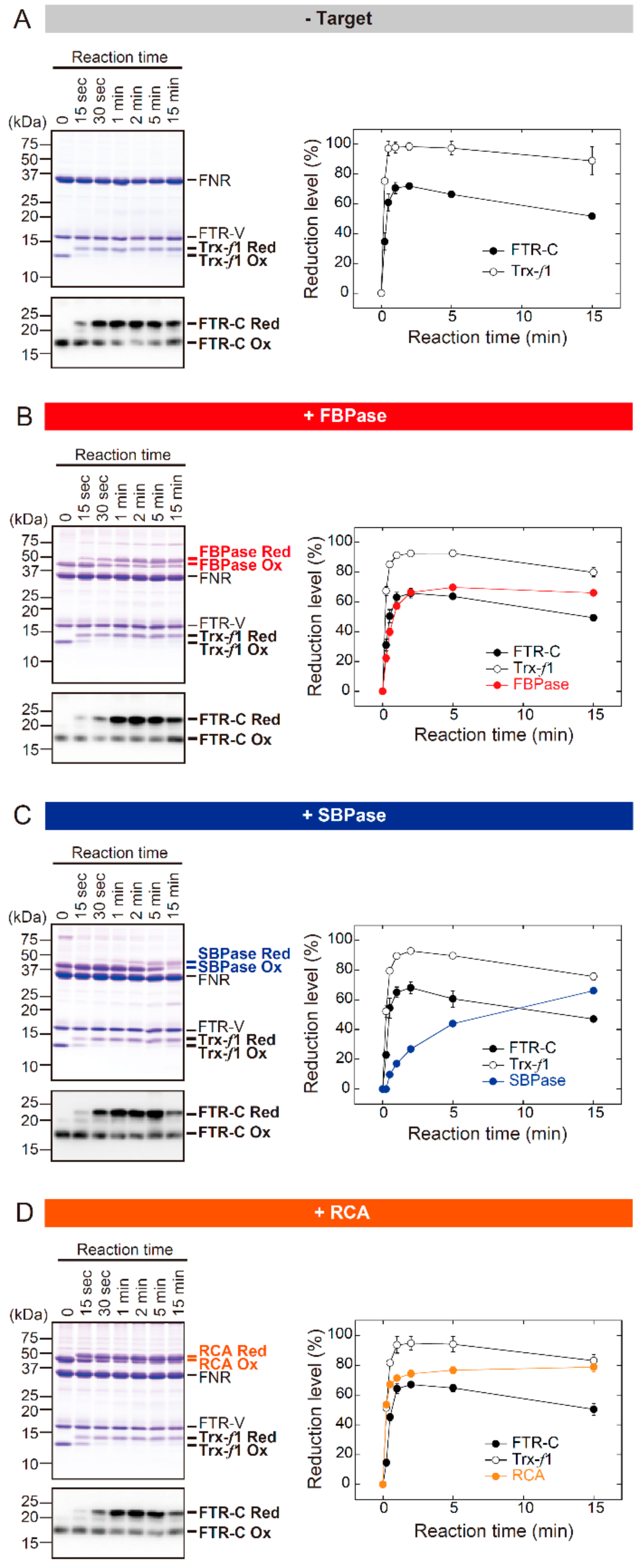 Antioxidants 07 00153 g001