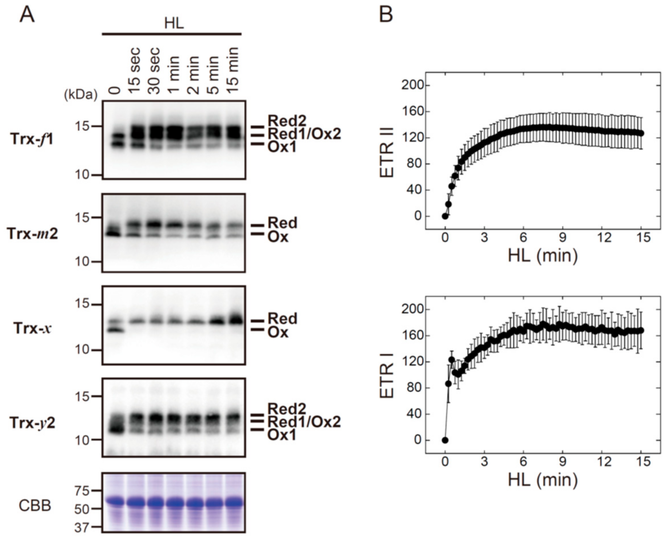 Antioxidants 07 00153 g002