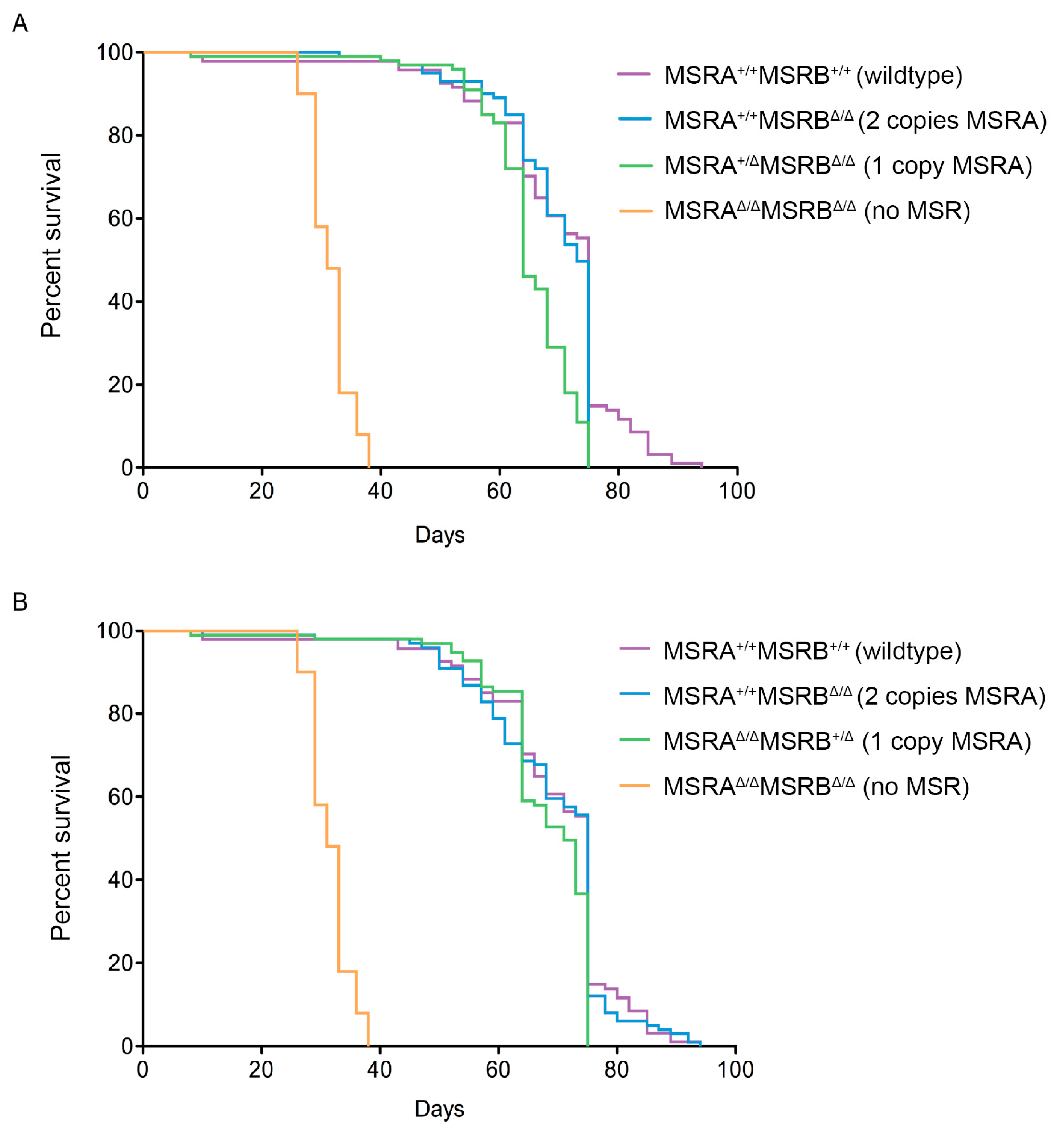 Antioxidants 07 00155 g003