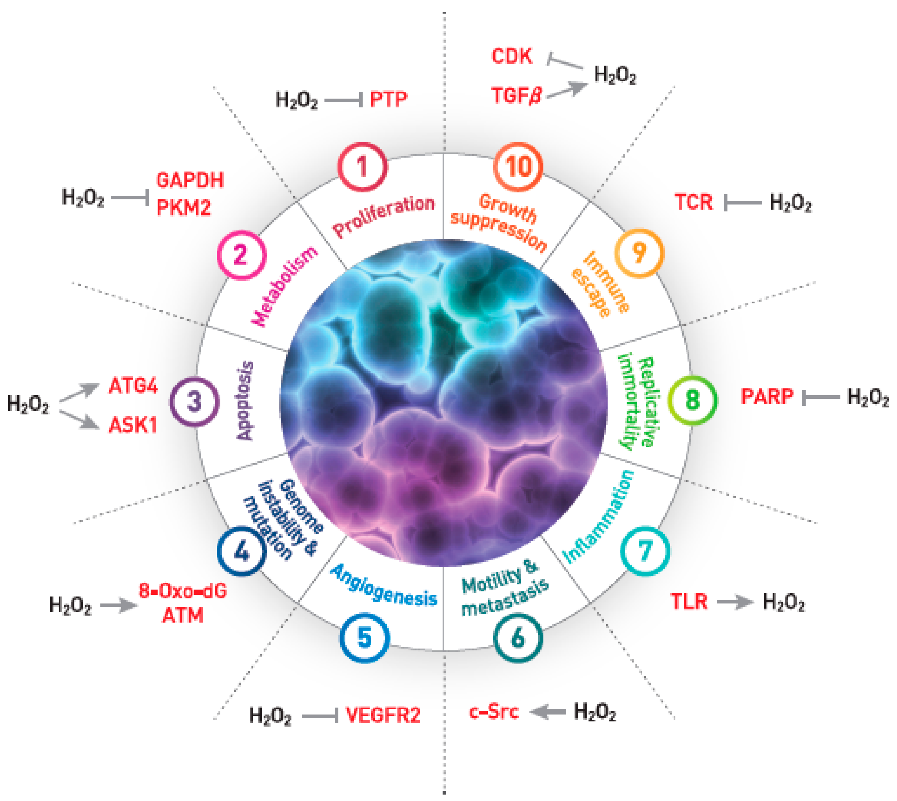 Antioxidants 07 00161 g002