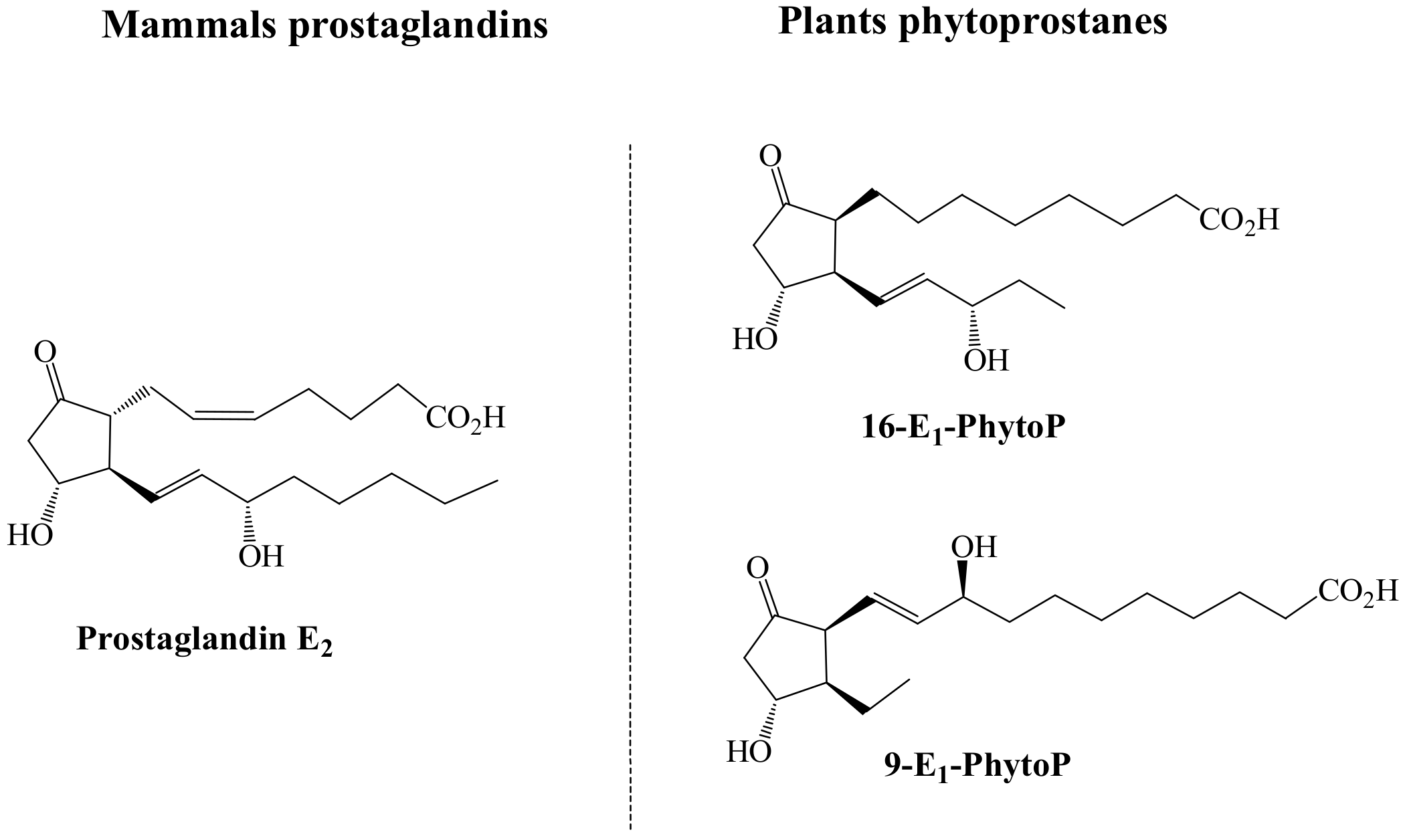 Antioxidants 07 00165 g002