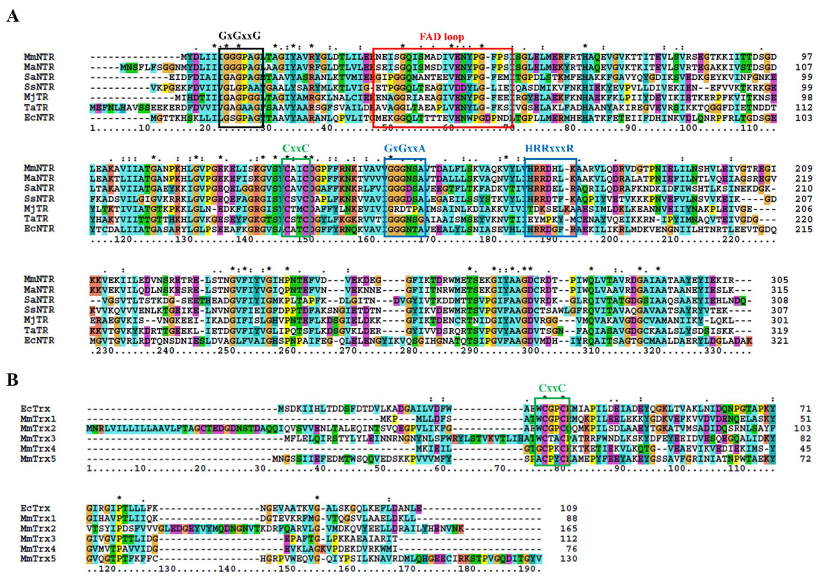 Antioxidants 07 00166 g001