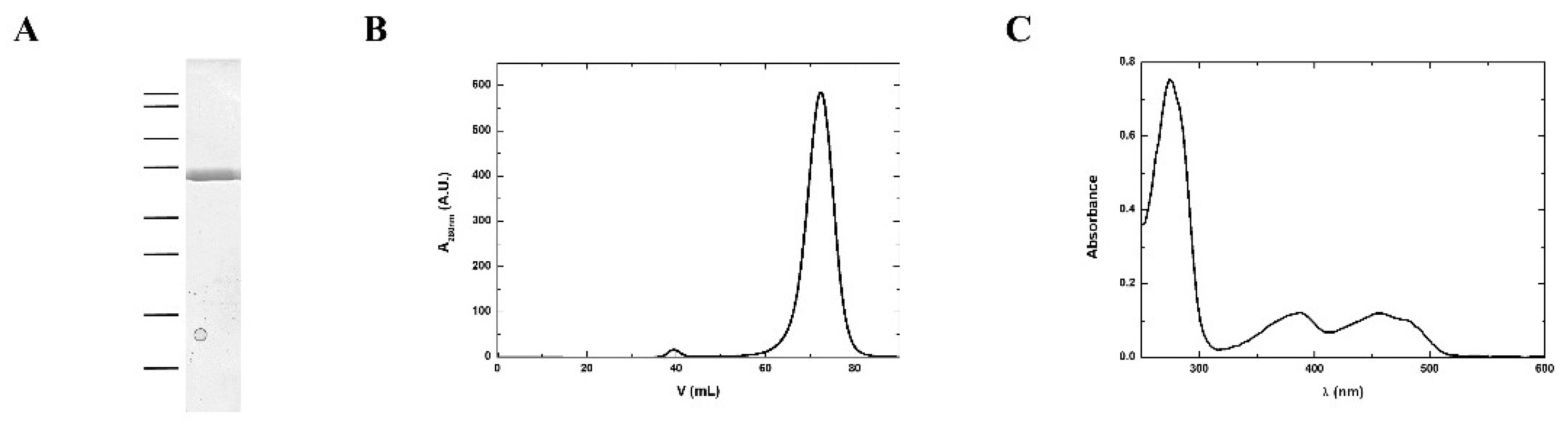 Antioxidants 07 00166 g002