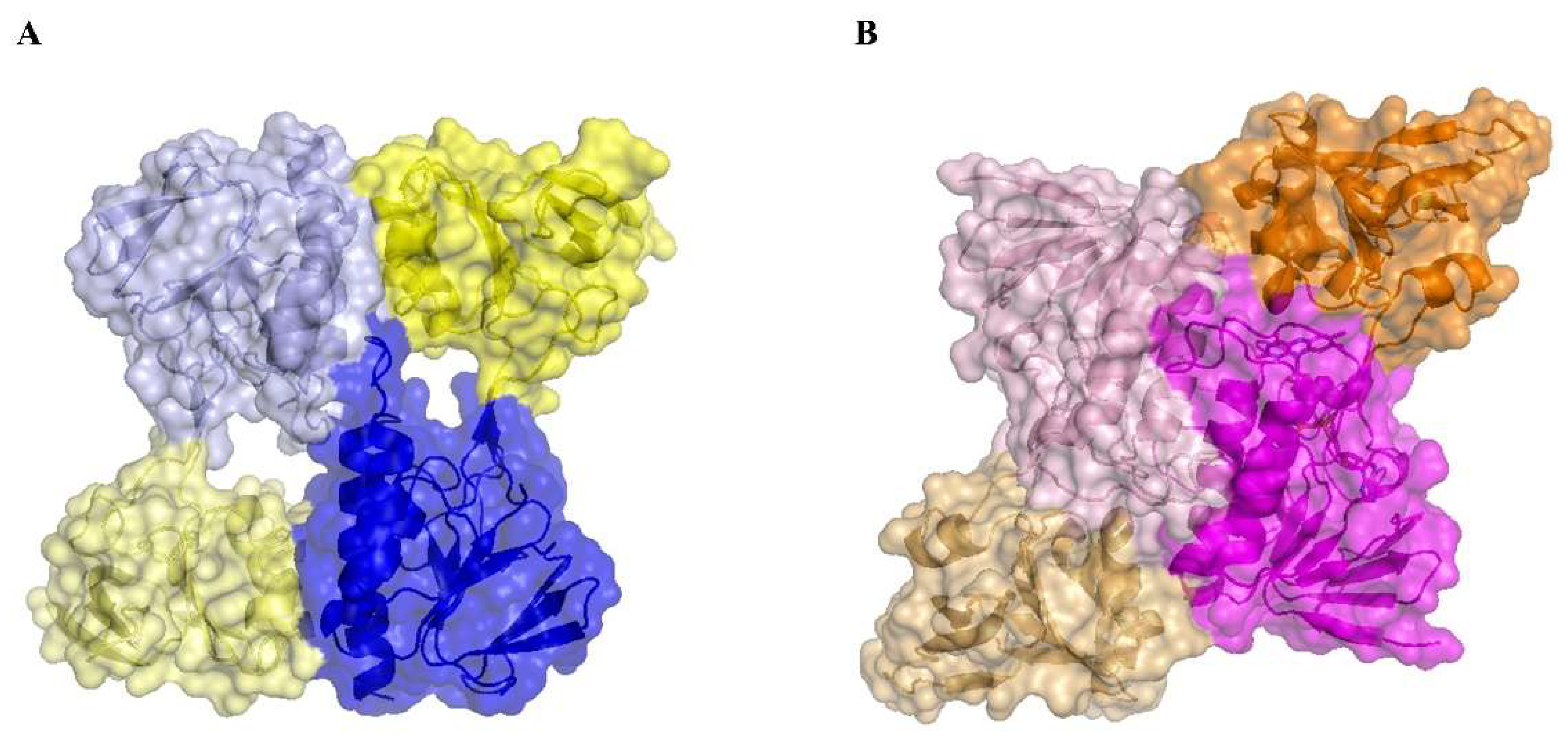 Antioxidants 07 00166 g004