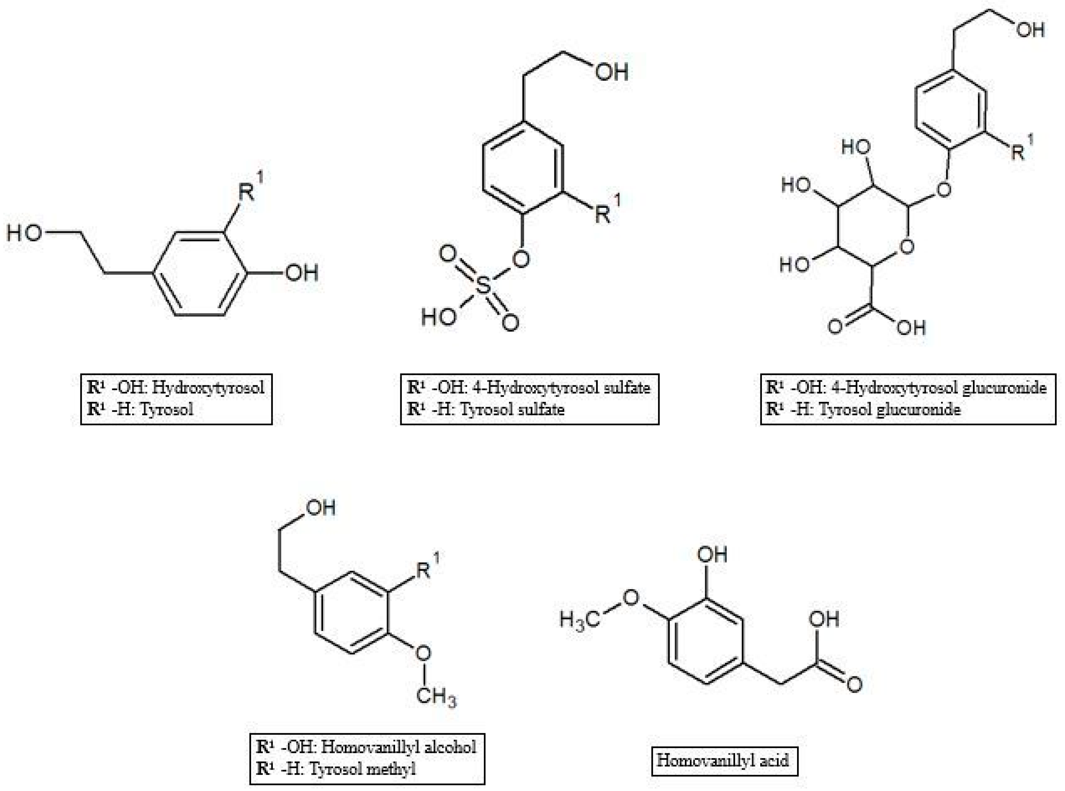 Antioxidants 07 00170 g001
