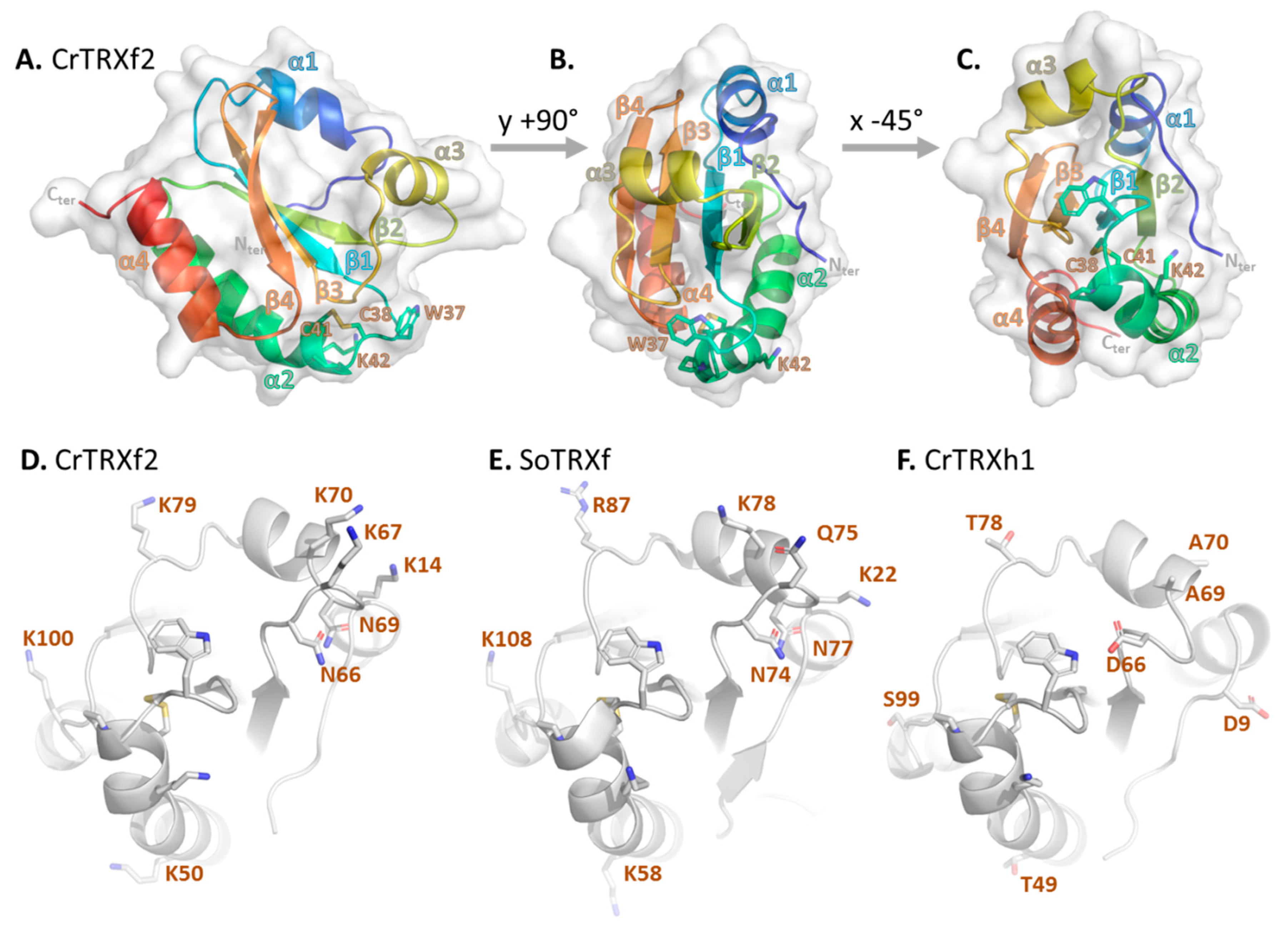 Antioxidants 07 00171 g002