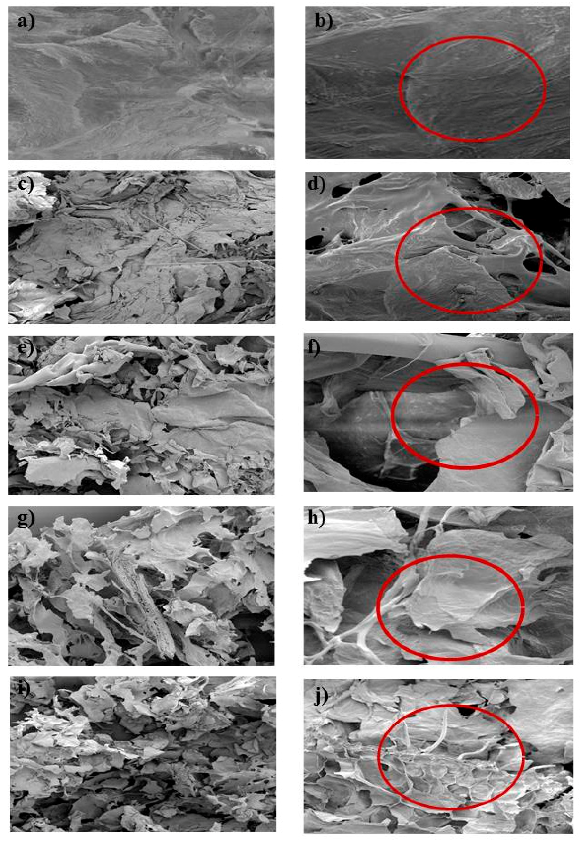 Antioxidants 07 00174 g003