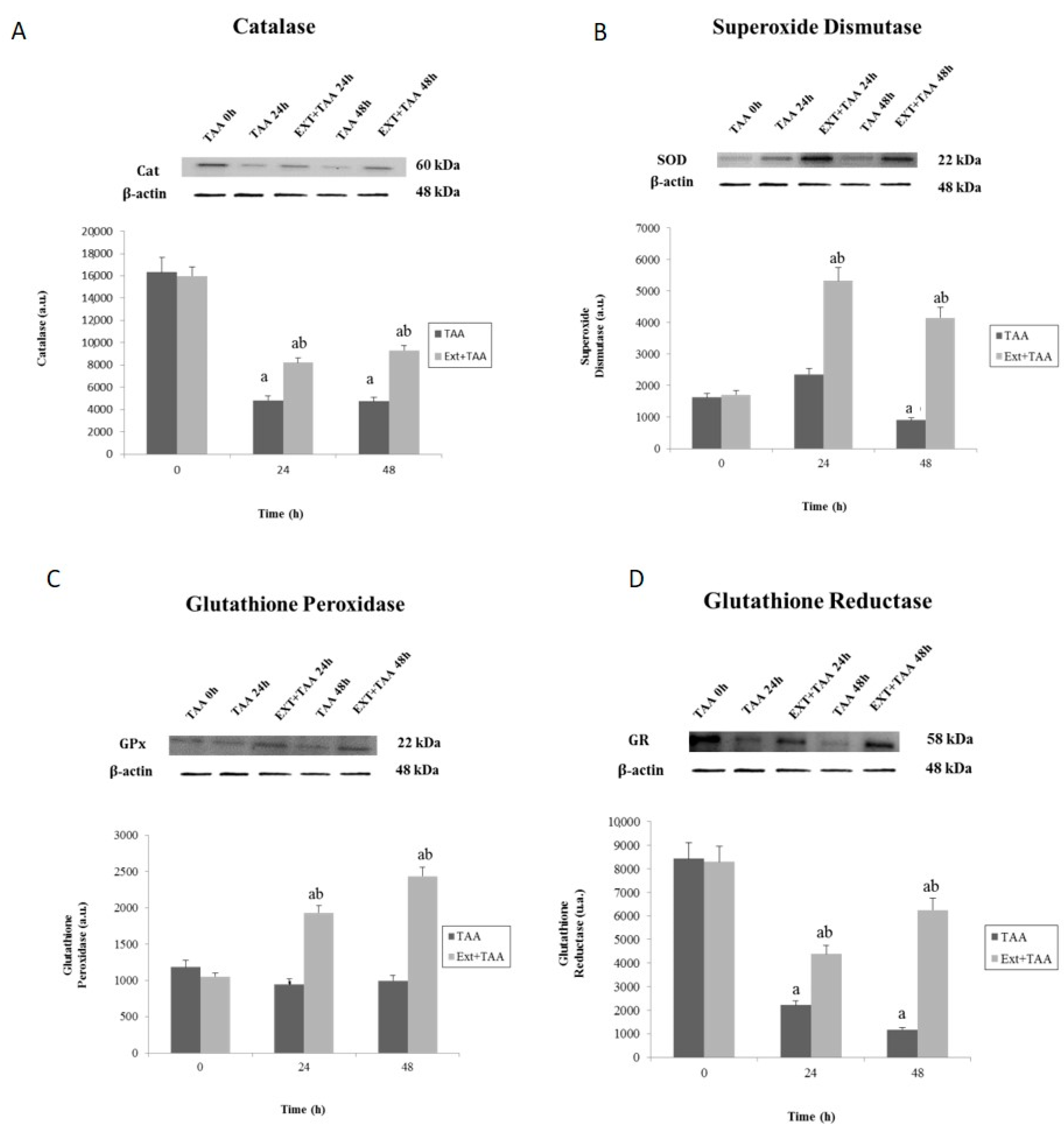 Antioxidants 07 00178 g002