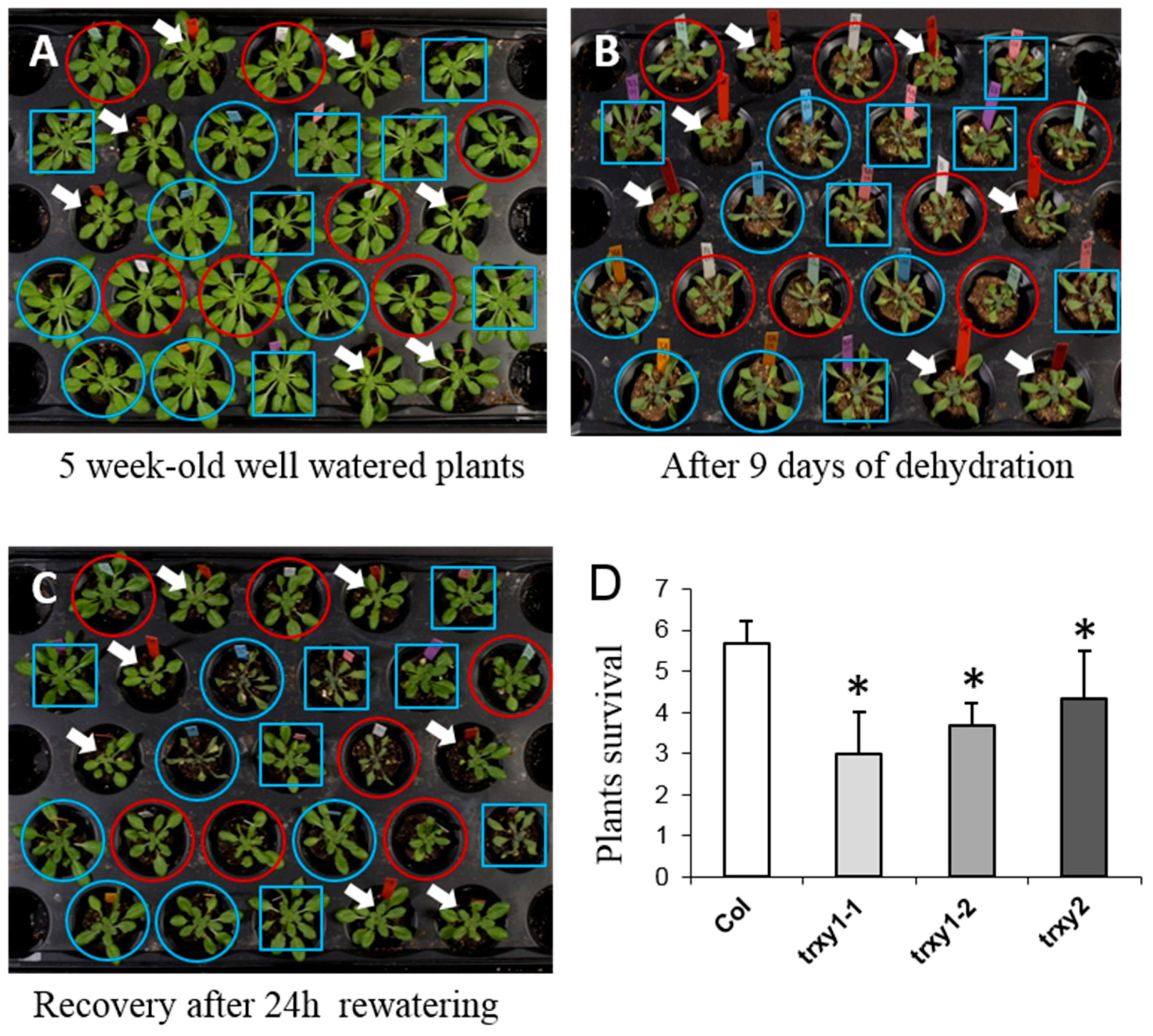 Antioxidants 07 00183 g001