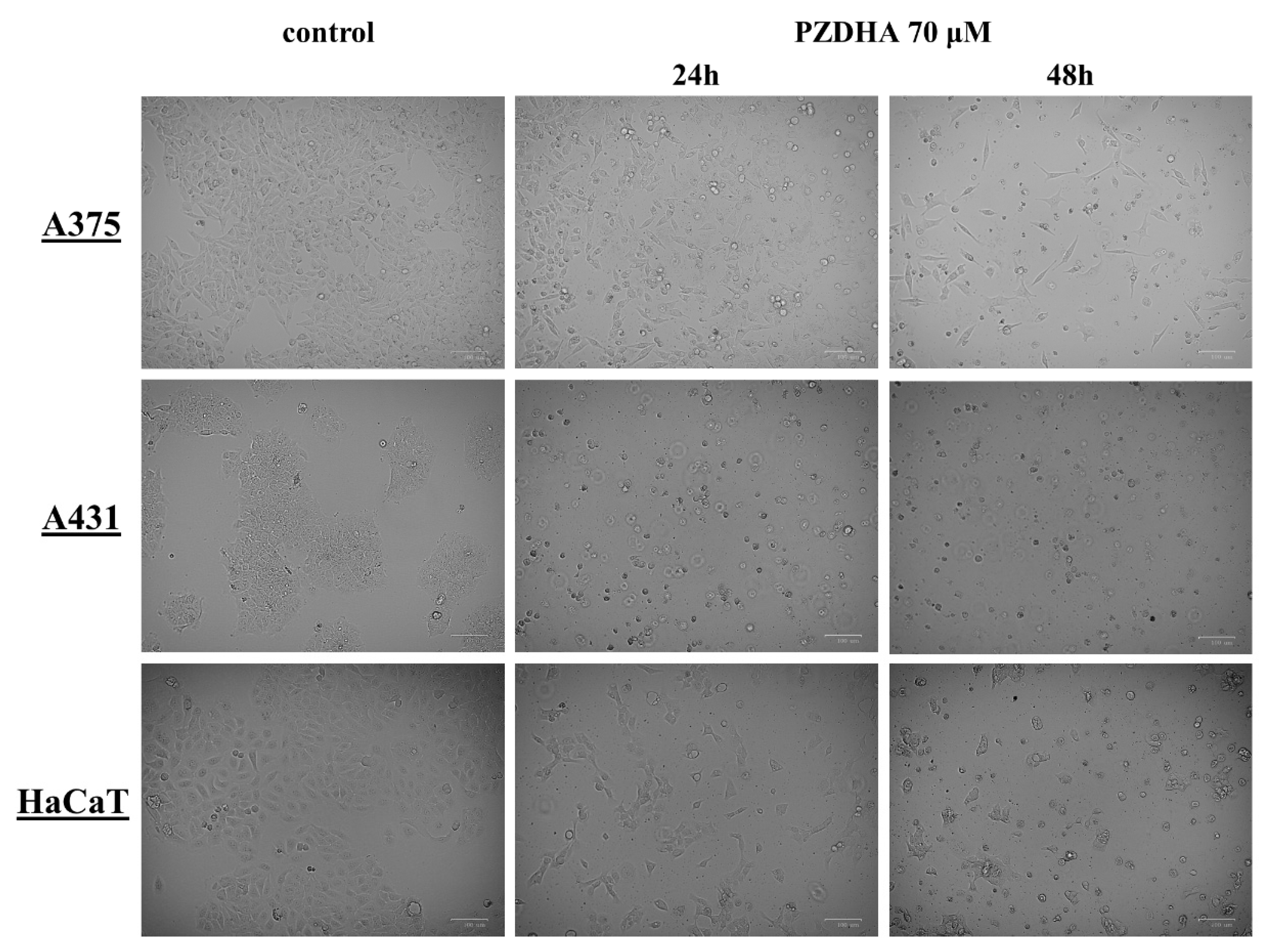 Antioxidants 07 00188 g003