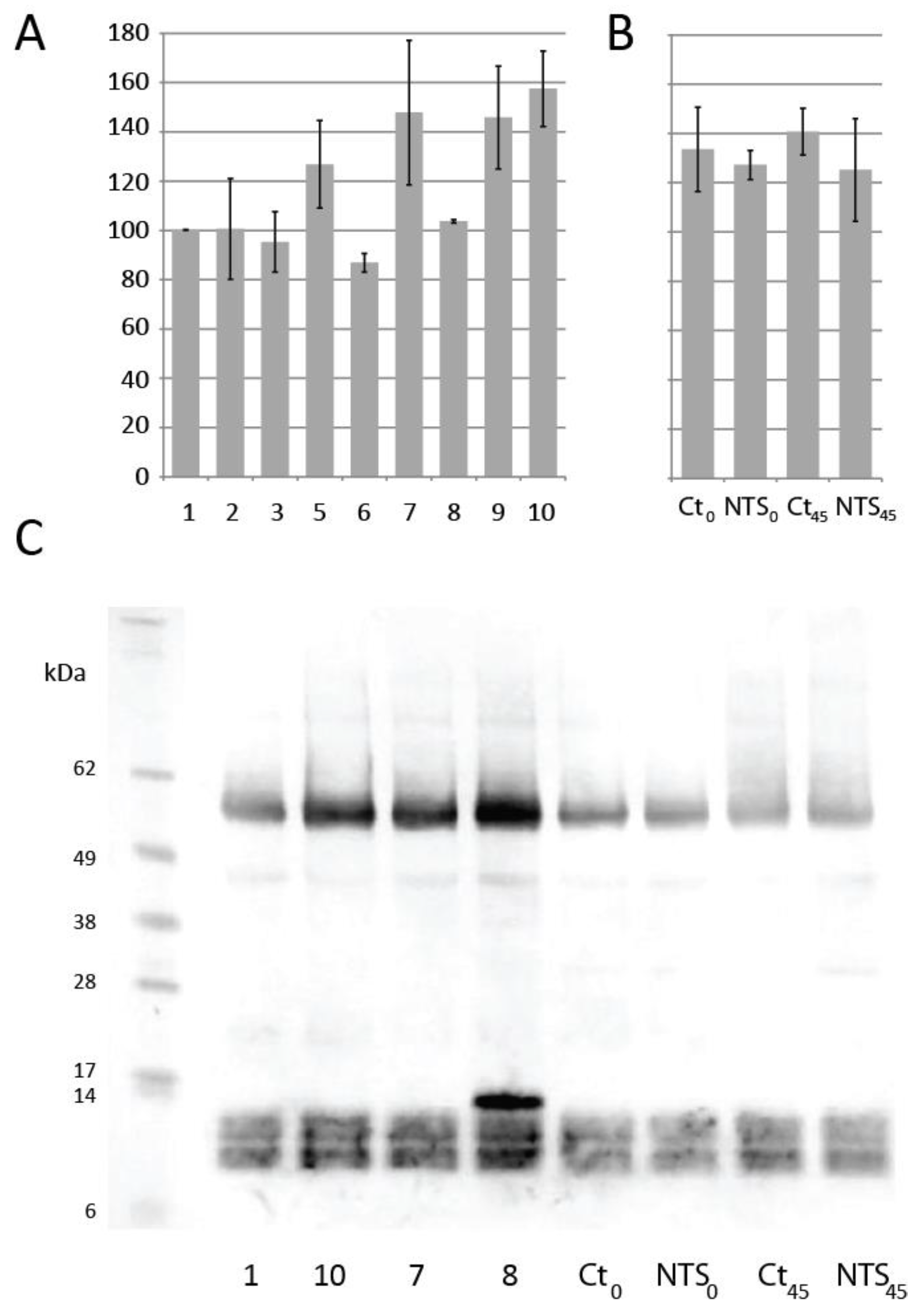 Antioxidants 07 00190 g004