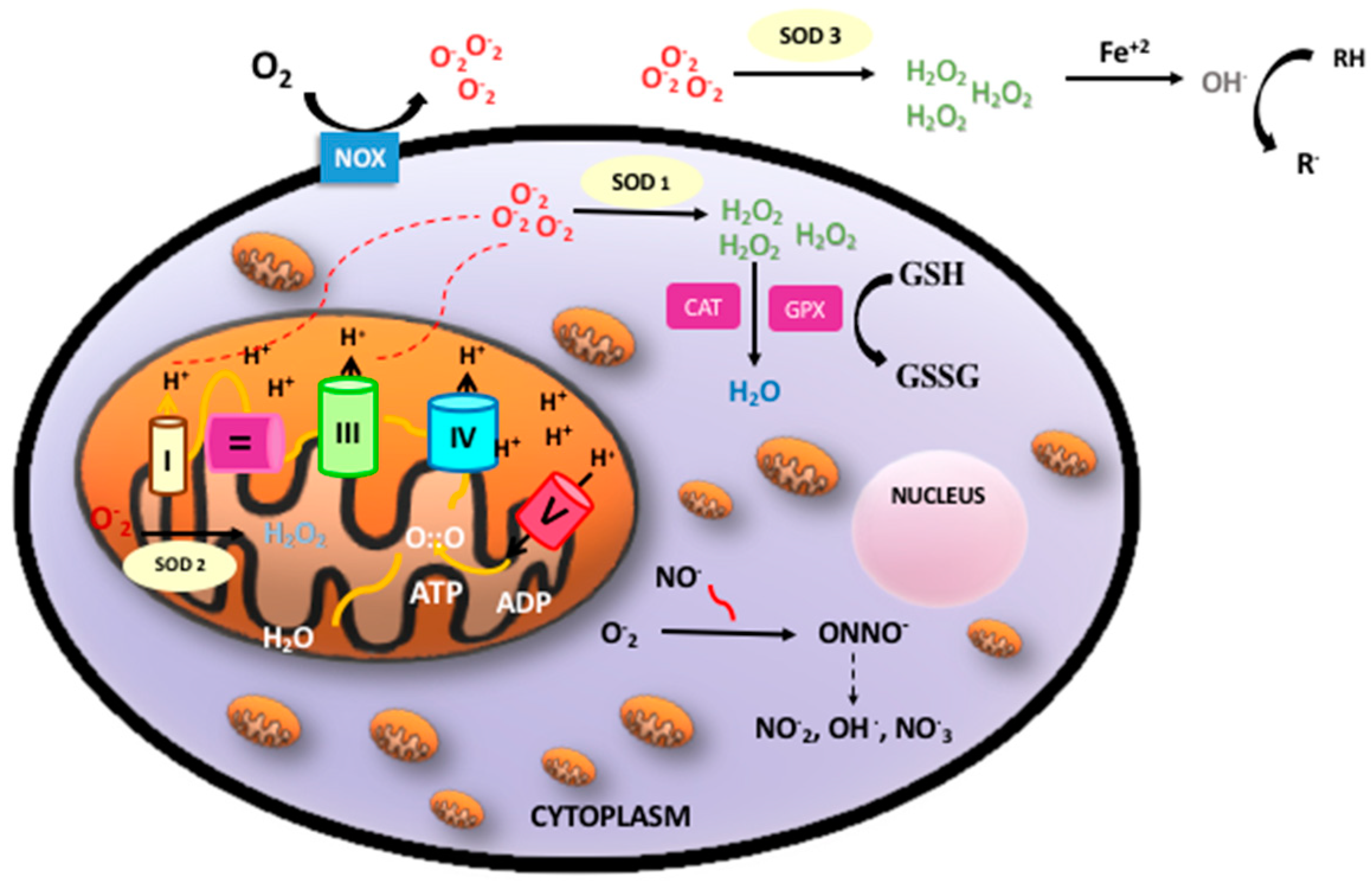 Antioxidants 07 00193 g001