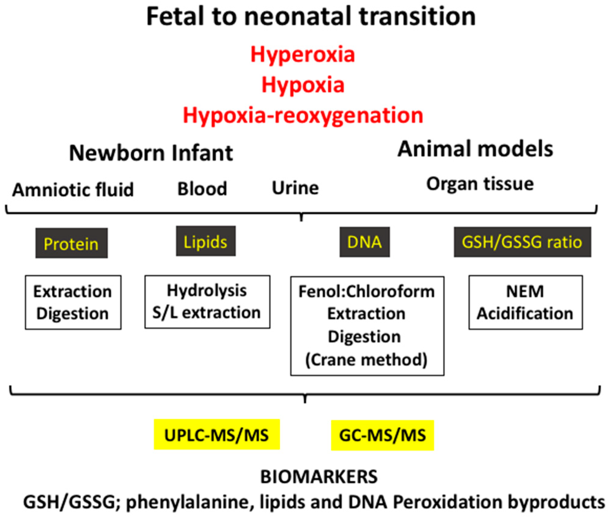 Antioxidants 07 00193 g002