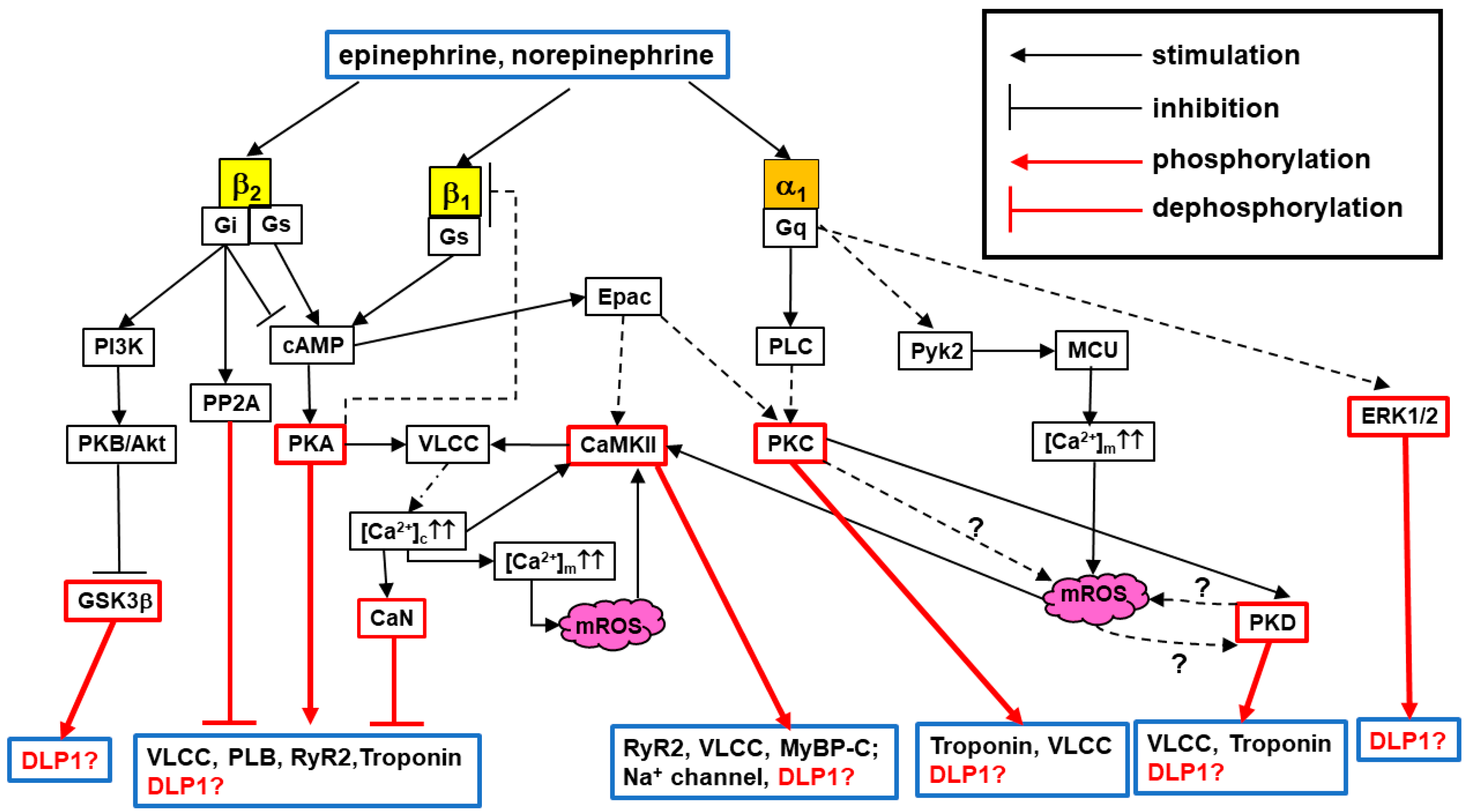 Antioxidants 07 00195 g001 Antioxidants 07 00195 g001