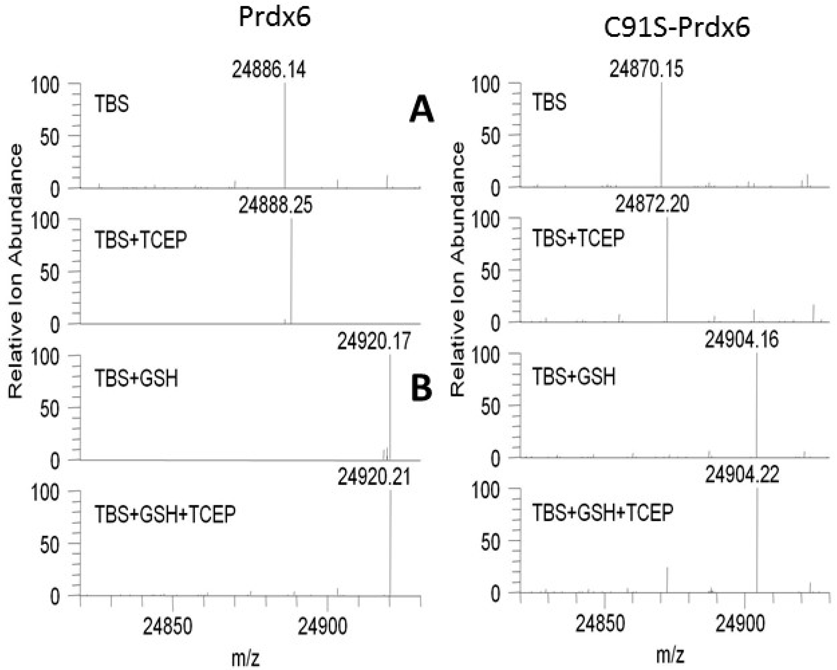 Antioxidants 08 00004 g002