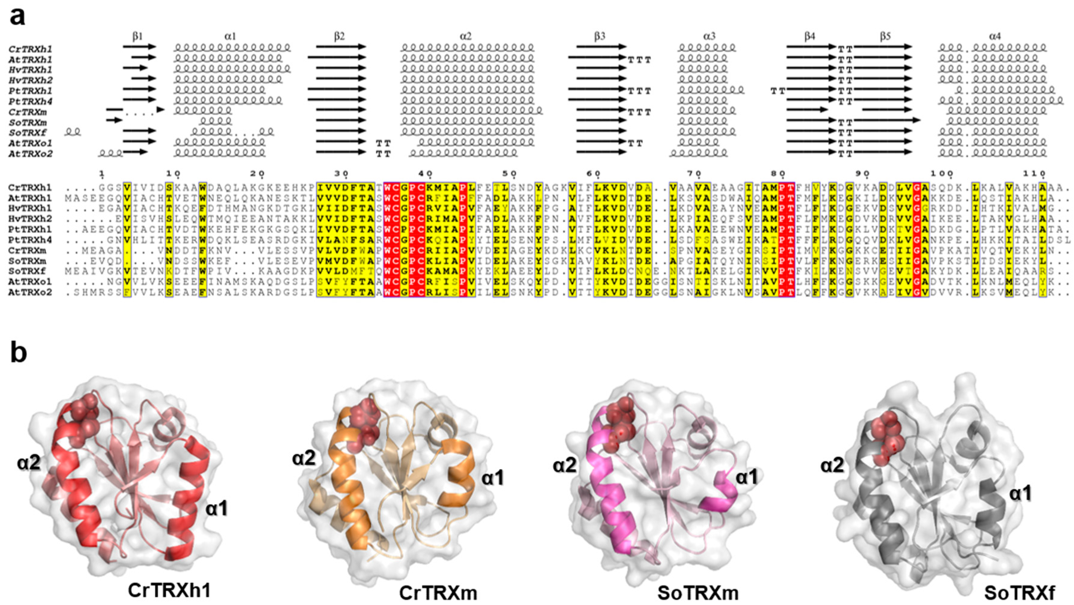 Antioxidants 08 00010 g001 Antioxidants 08 00010 g001