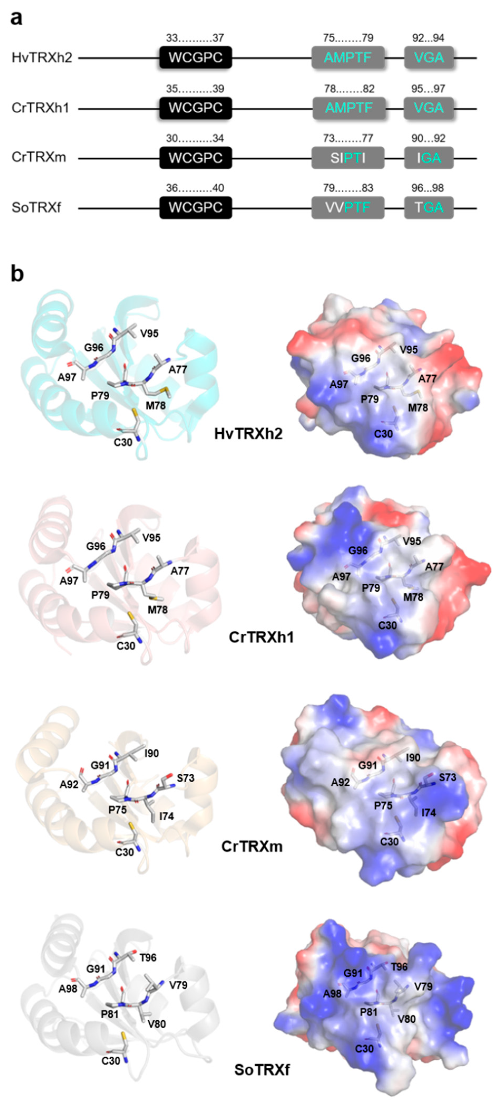 Antioxidants 08 00010 g002 Antioxidants 08 00010 g002