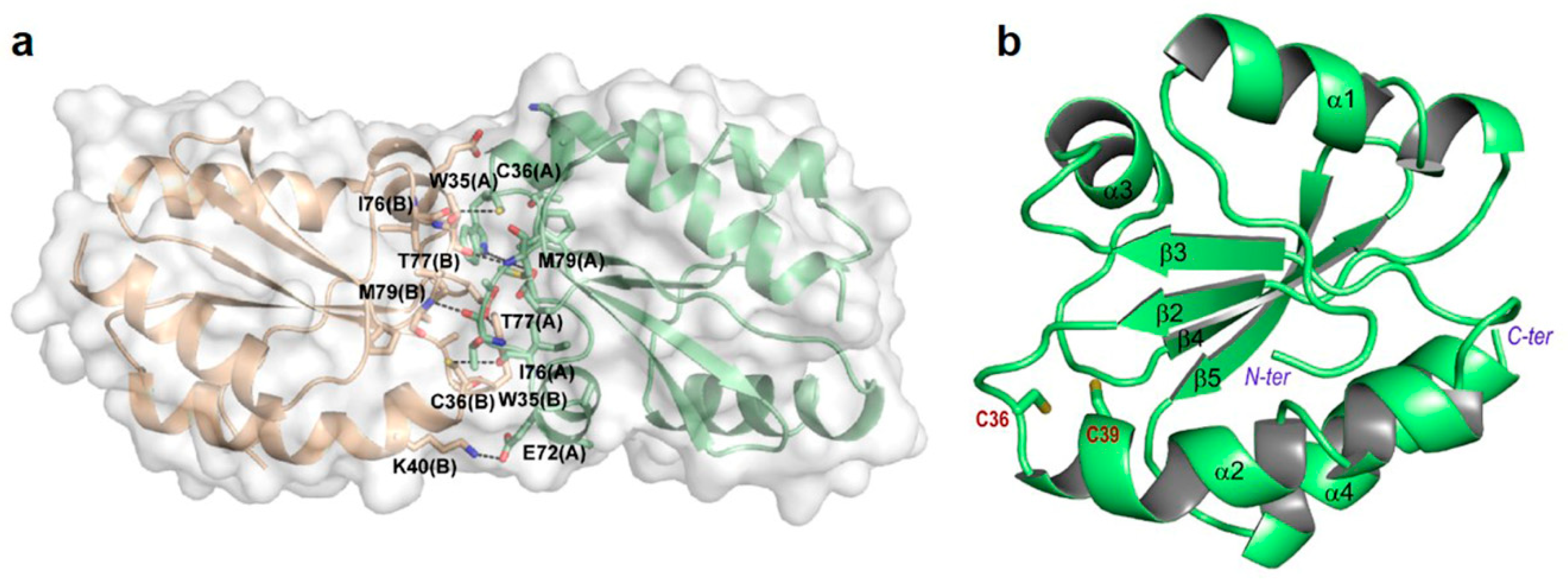Antioxidants 08 00010 g003 Antioxidants 08 00010 g003