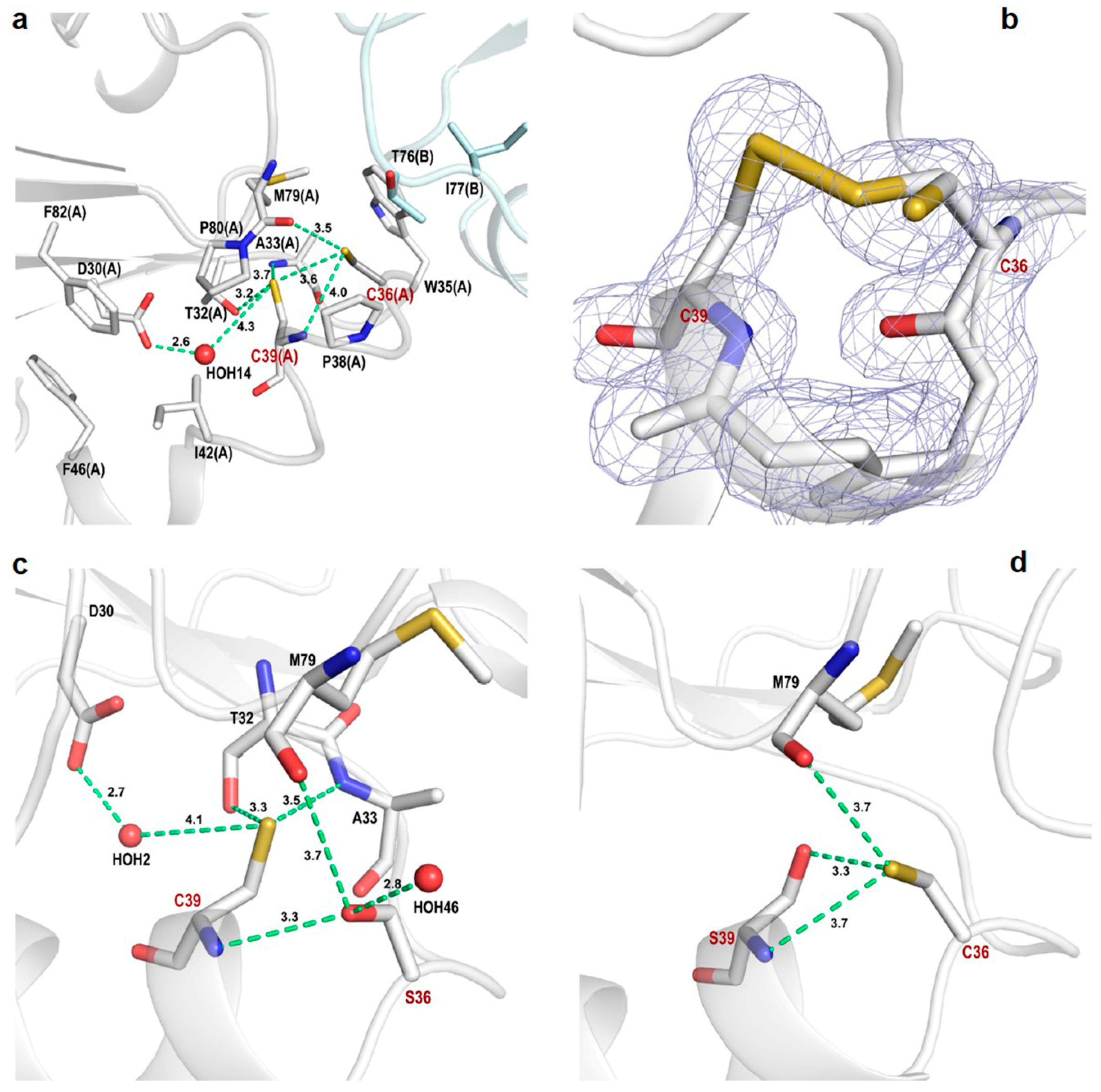 Antioxidants 08 00010 g004 Antioxidants 08 00010 g004