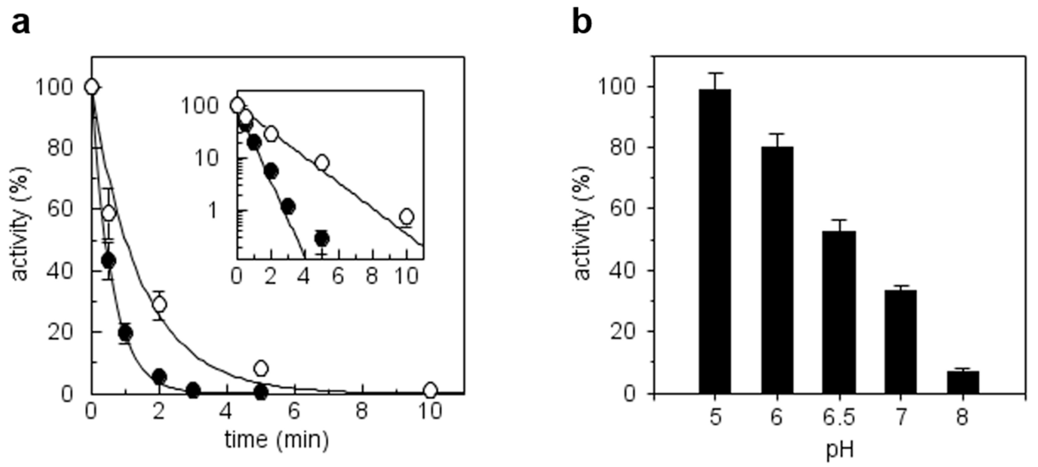 Antioxidants 08 00010 g005 Antioxidants 08 00010 g005