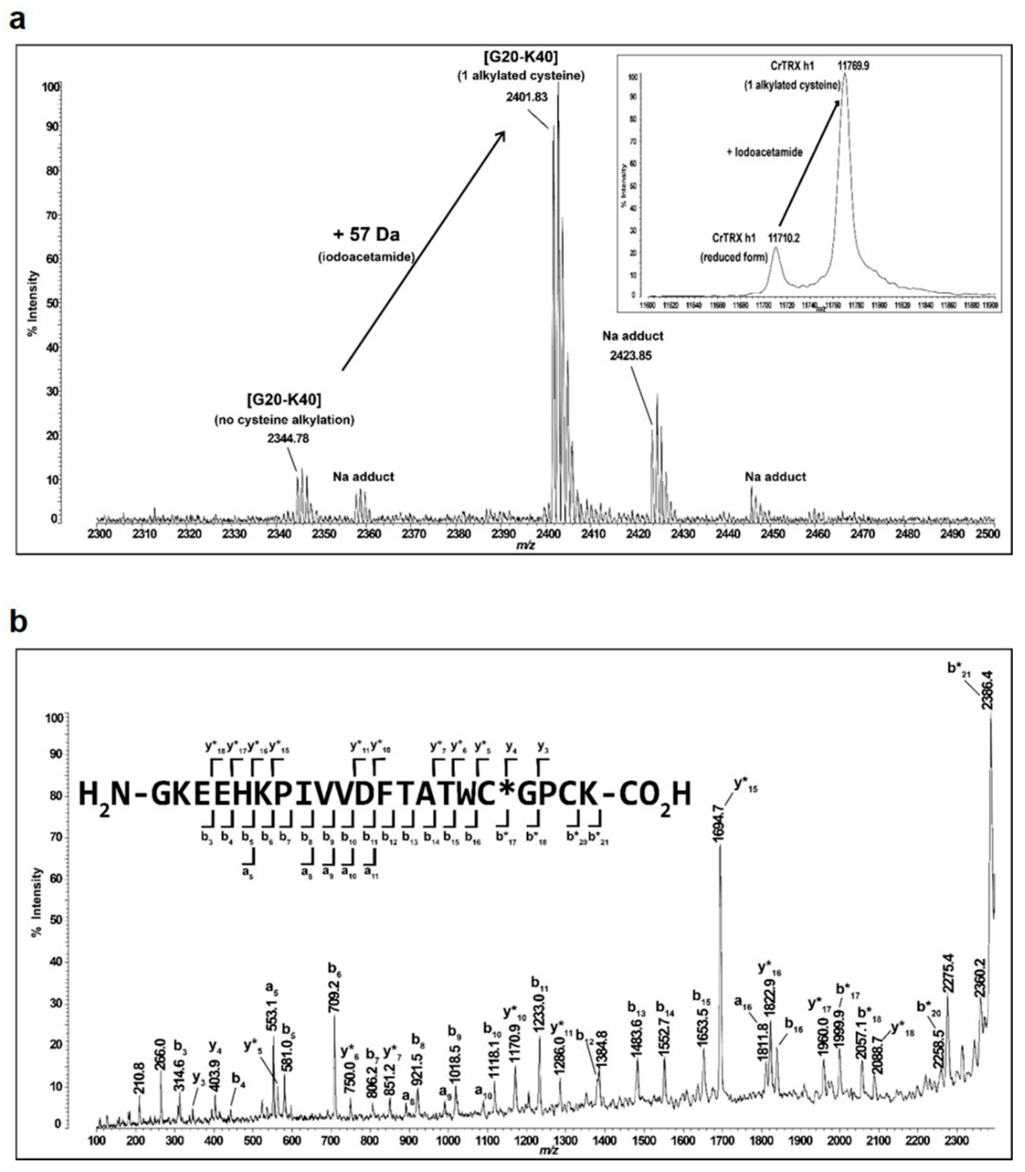 Antioxidants 08 00010 g006 Antioxidants 08 00010 g006