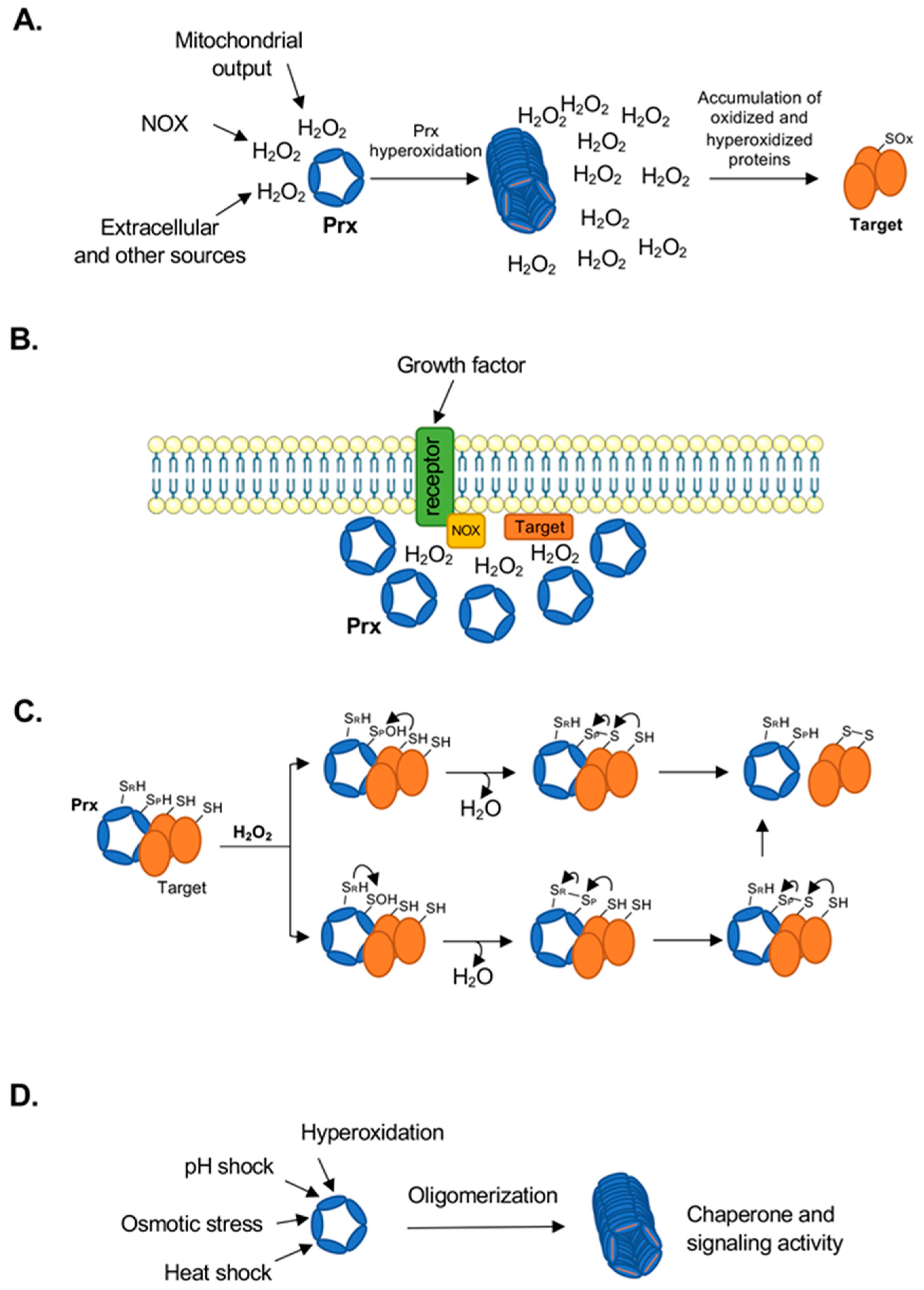 Antioxidants 08 00011 g002 Antioxidants 08 00011 g002