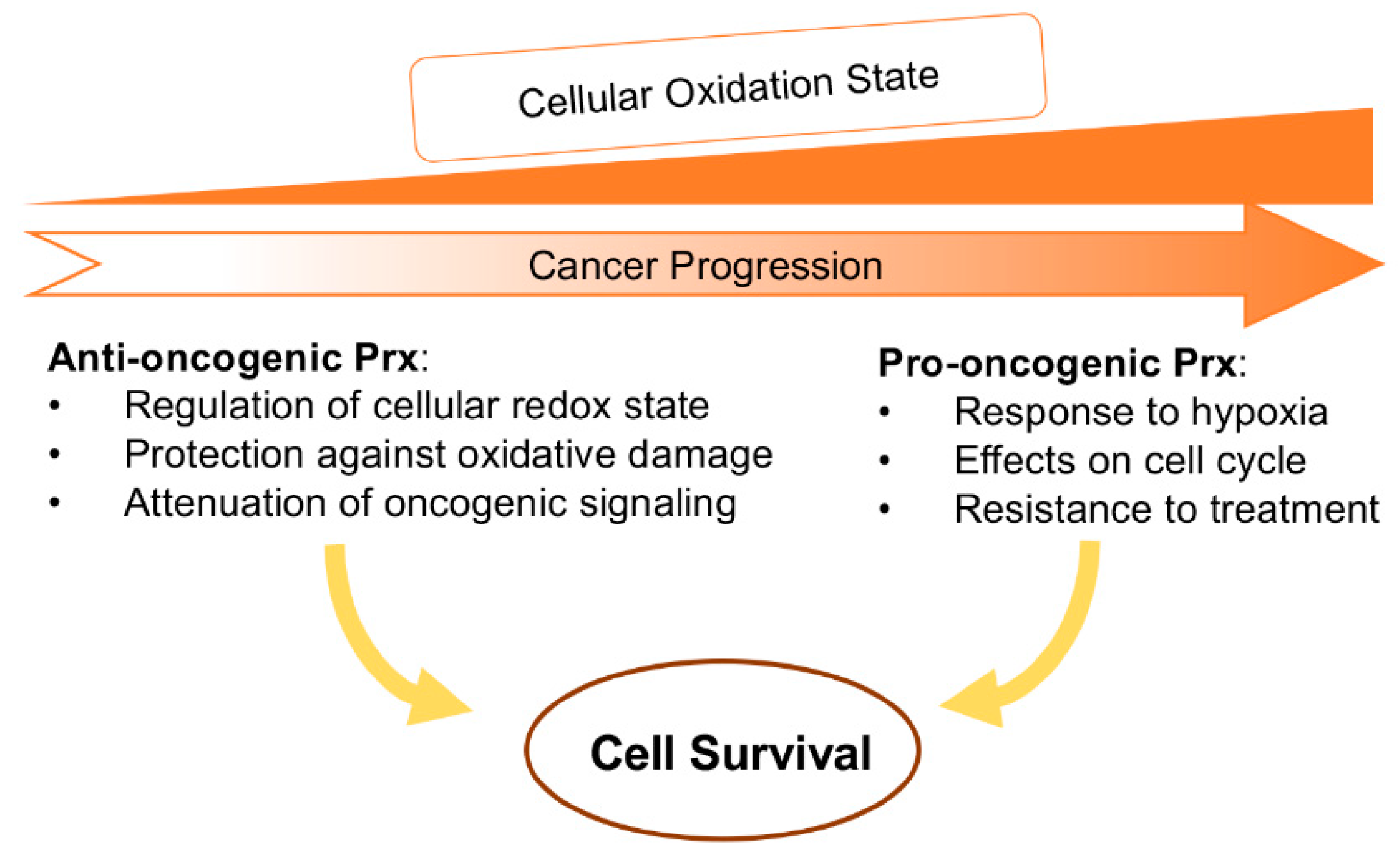 Antioxidants 08 00011 g003 Antioxidants 08 00011 g003