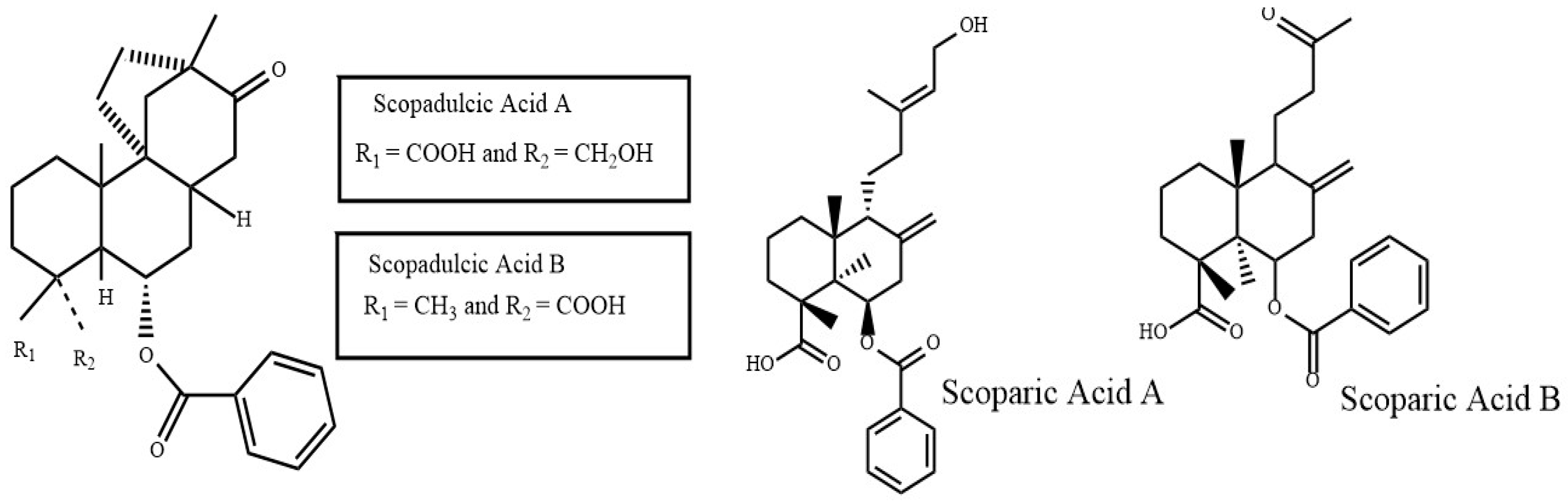 Antioxidants 08 00013 g003
