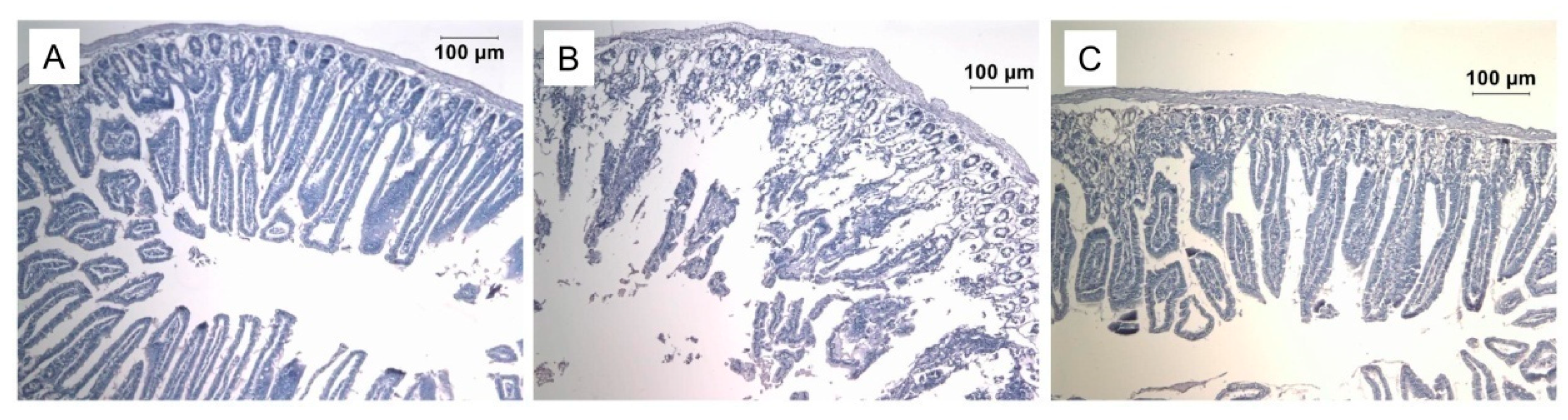 Antioxidants 08 00015 g007