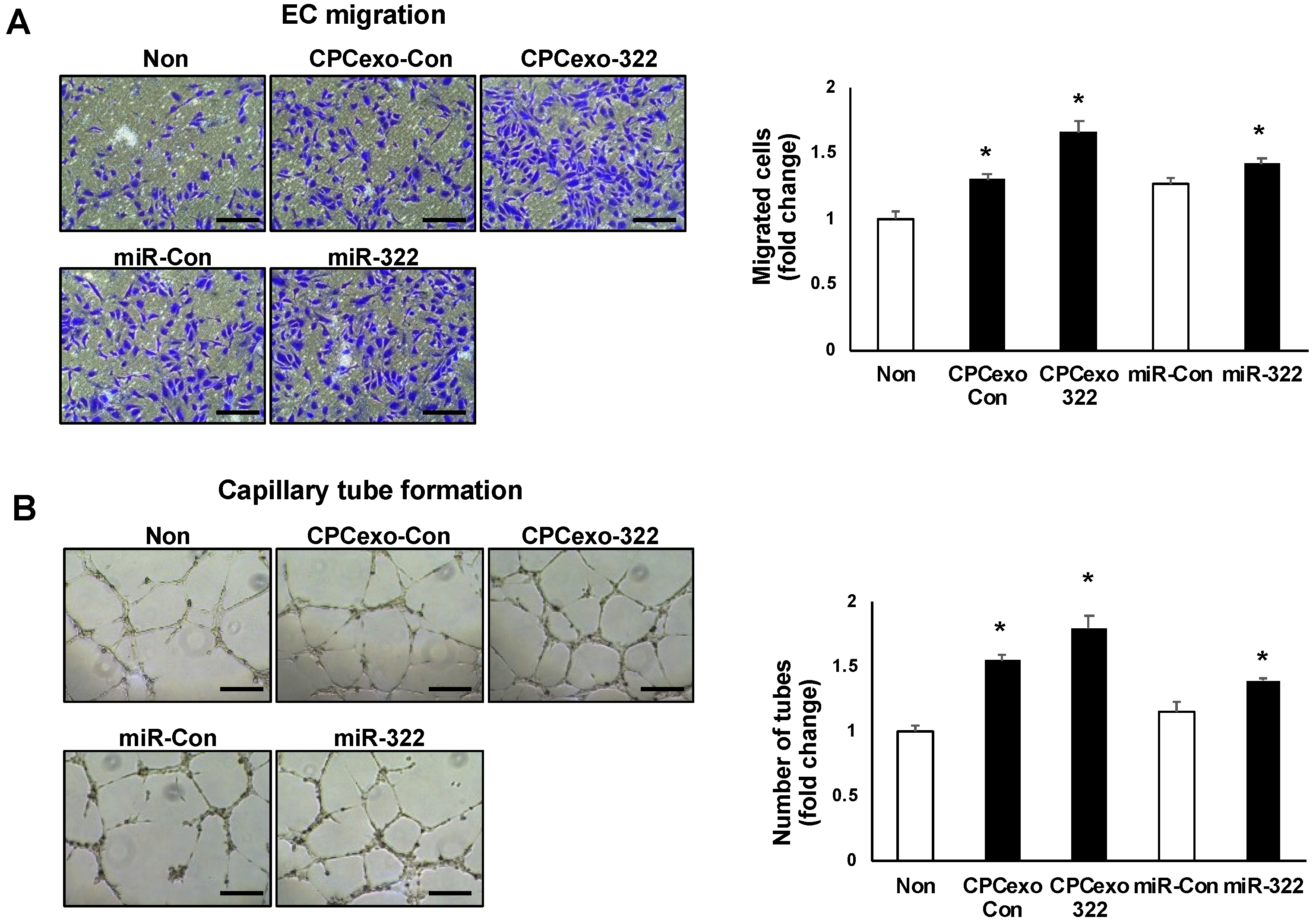 Antioxidants 08 00018 g005