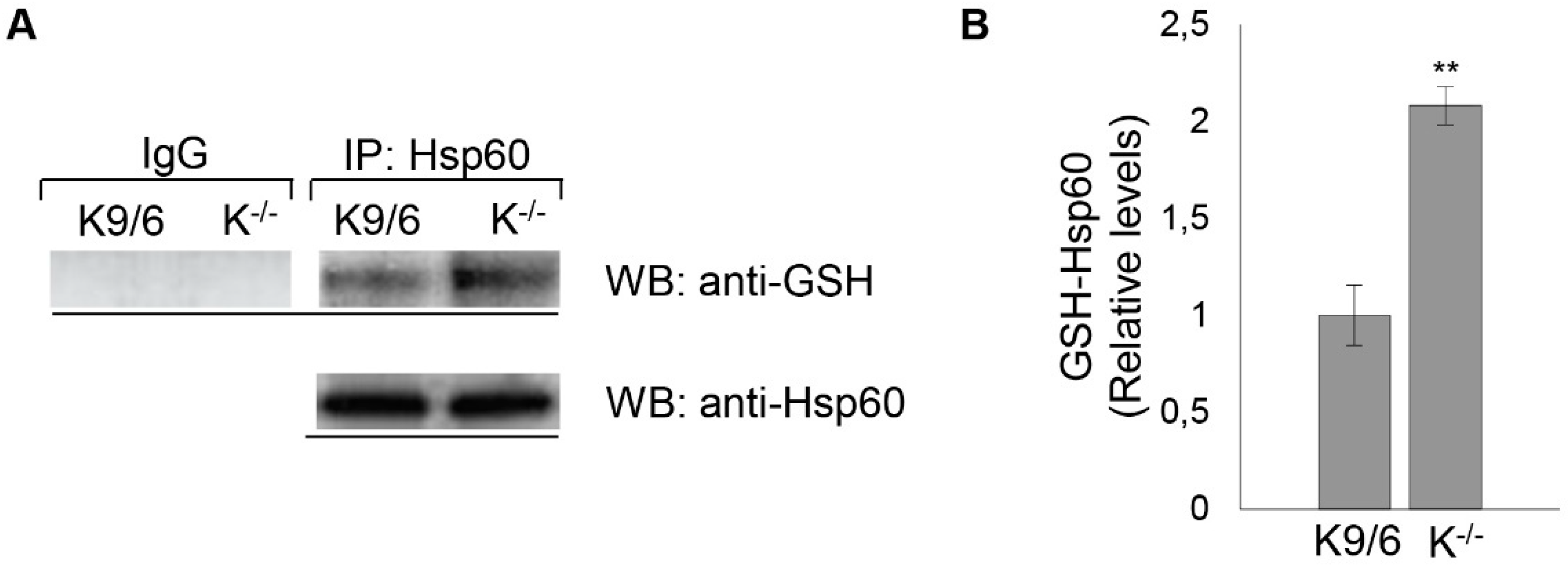Antioxidants 08 00027 g006