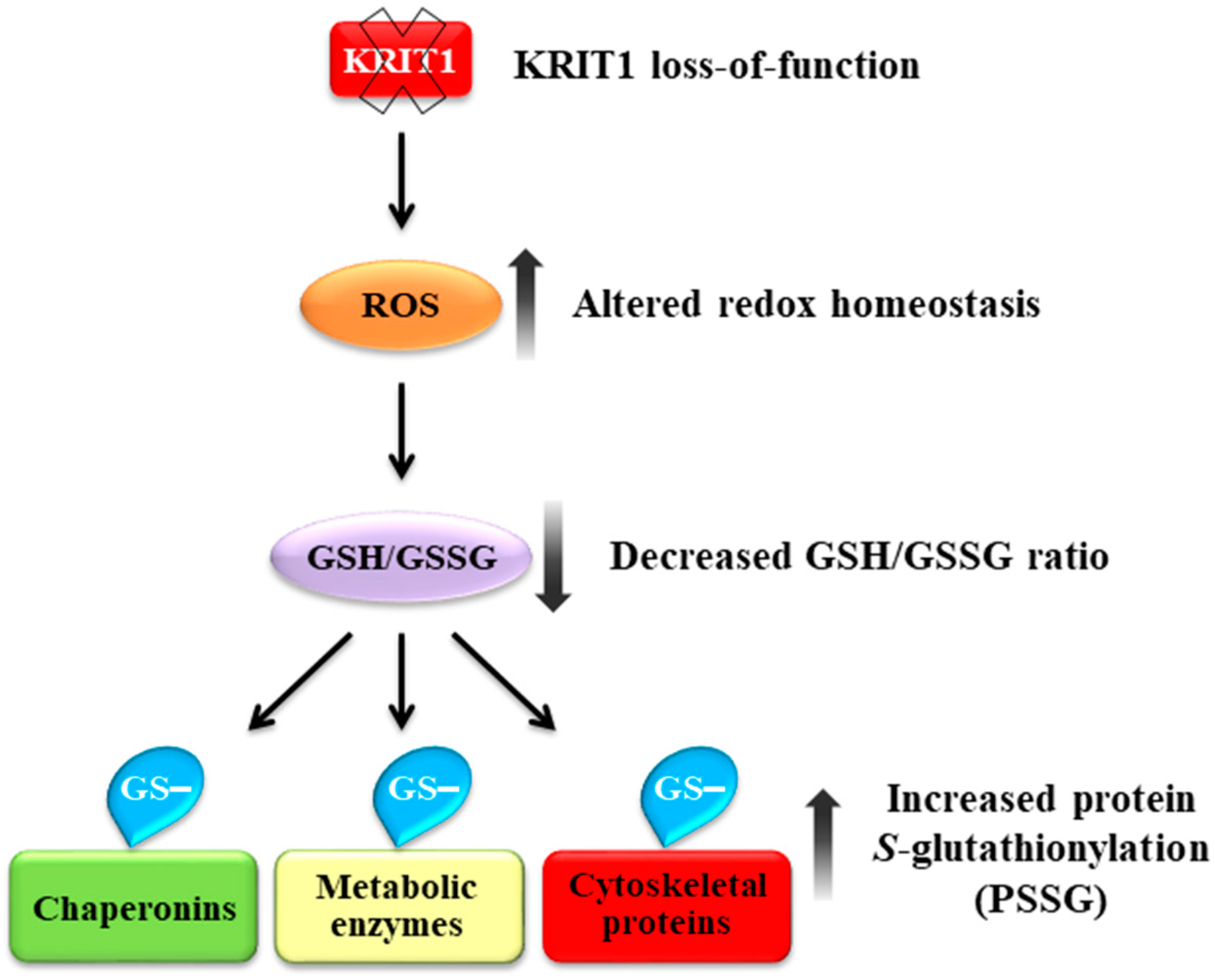 Antioxidants 08 00027 g009