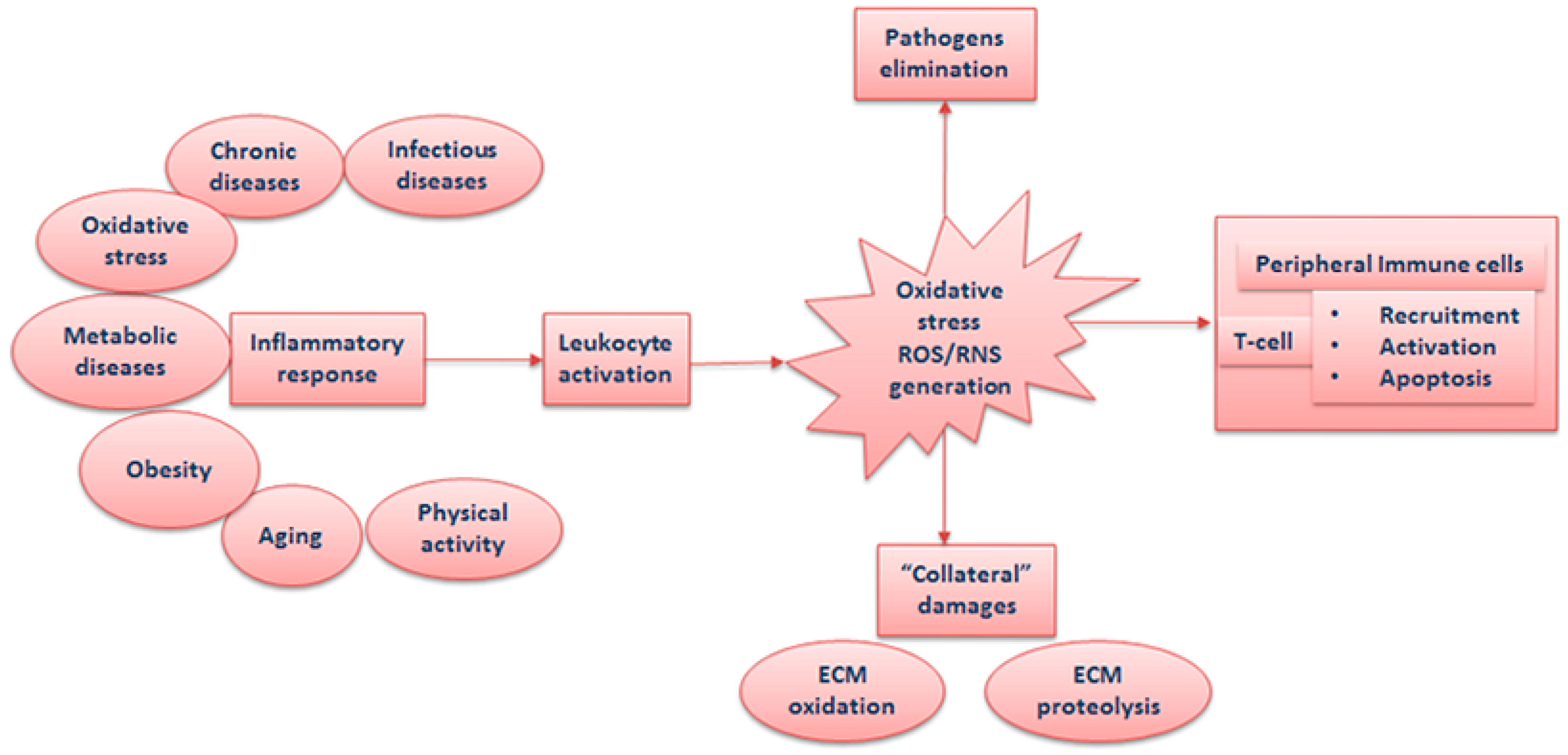 Antioxidants 08 00028 g001