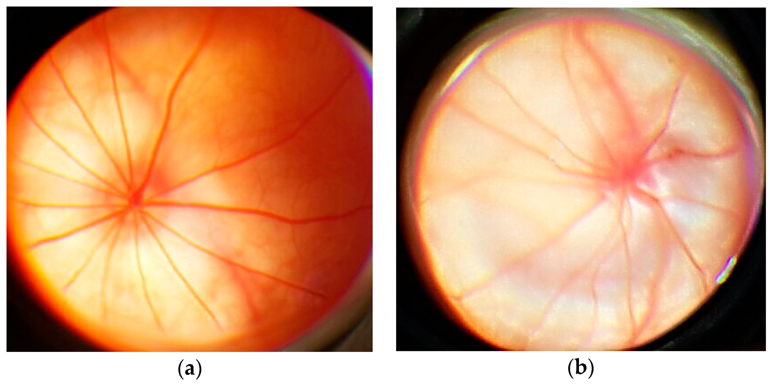Antioxidants 08 00034 g004