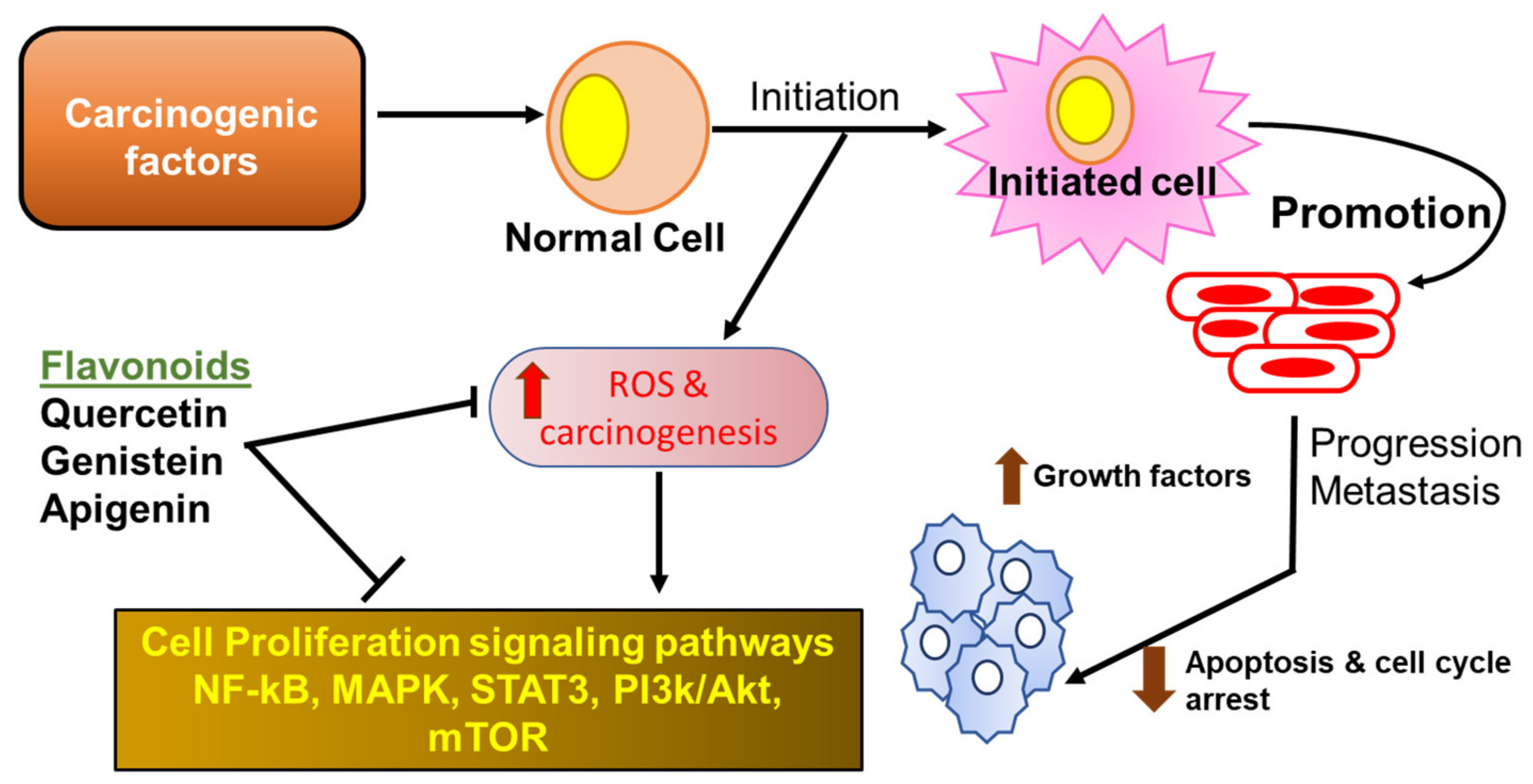 Antioxidants 08 00035 g001