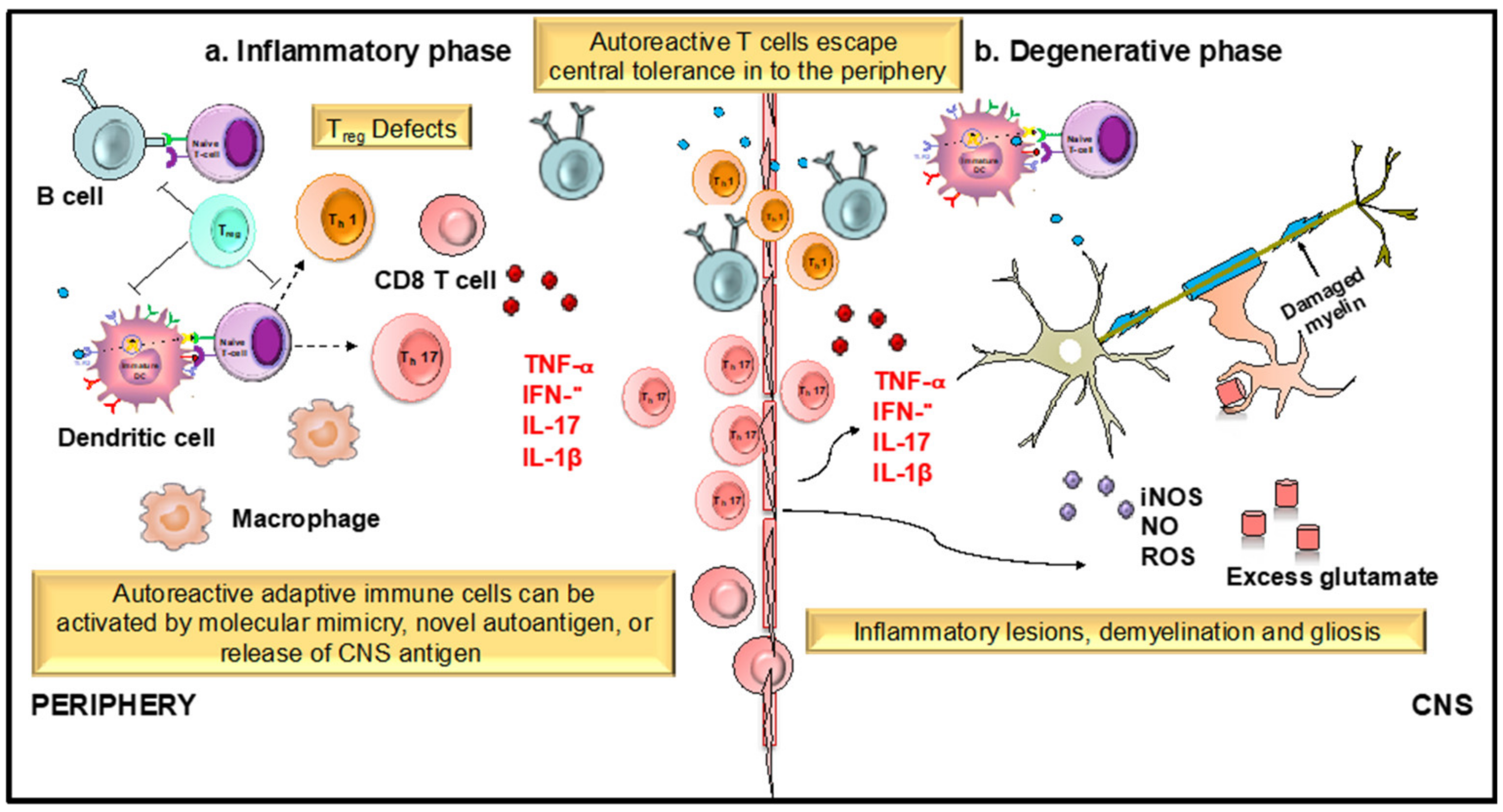 Antioxidants 08 00035 g003