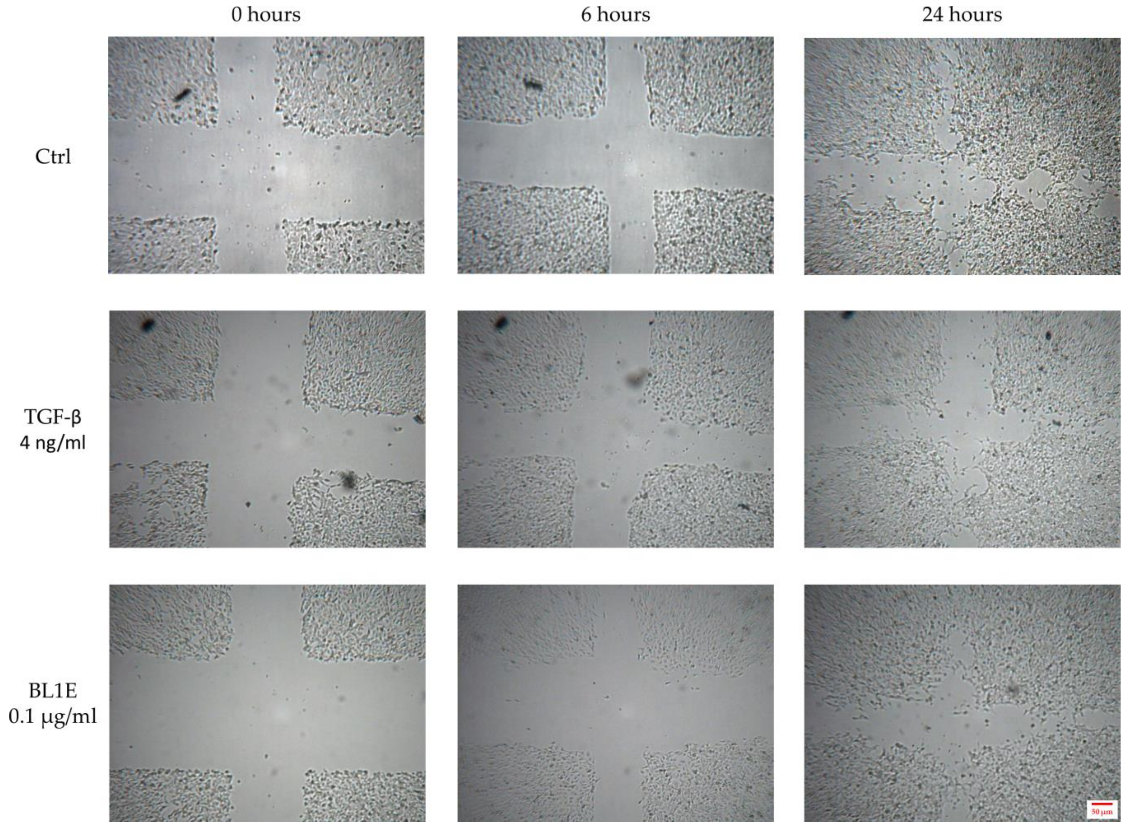 Antioxidants 08 00036 g006