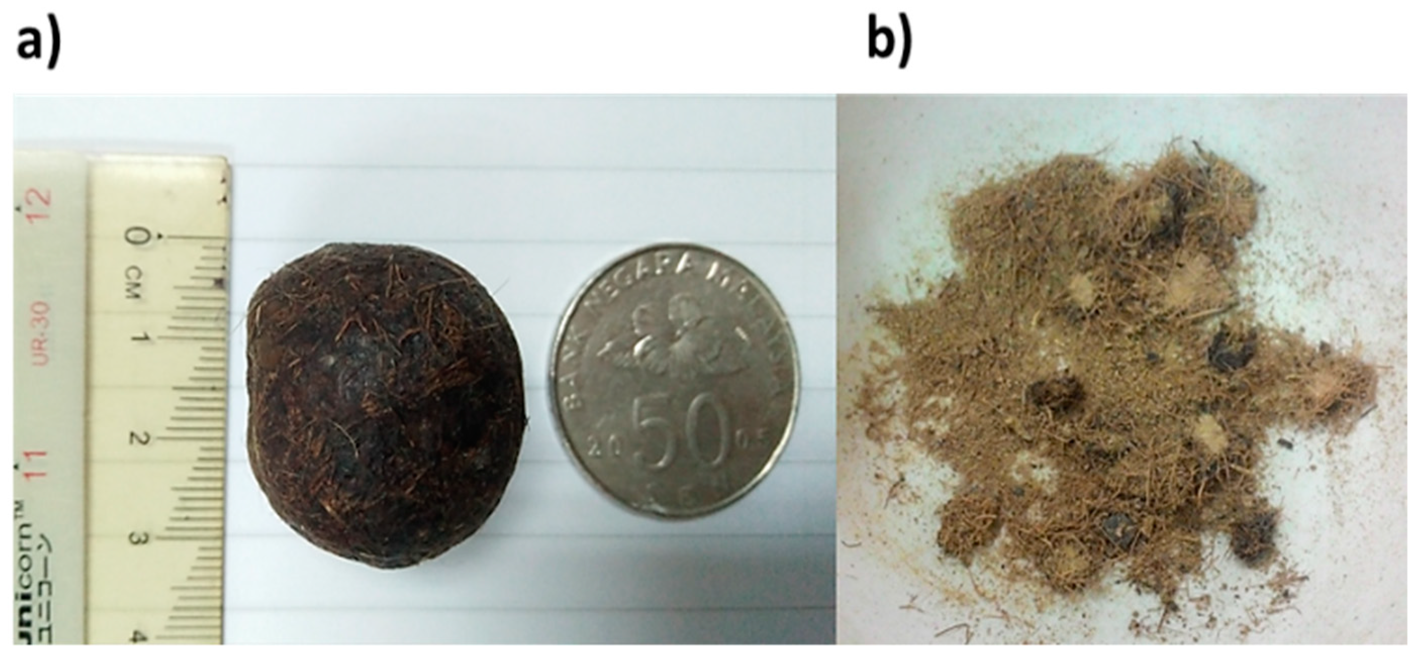 Antioxidants 08 00039 g001