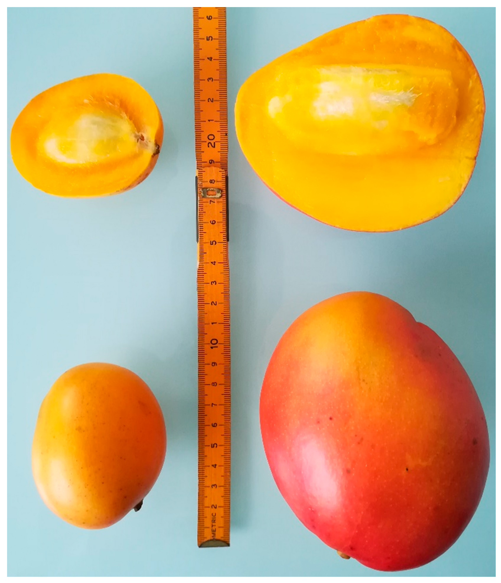 Antioxidants 08 00041 g001