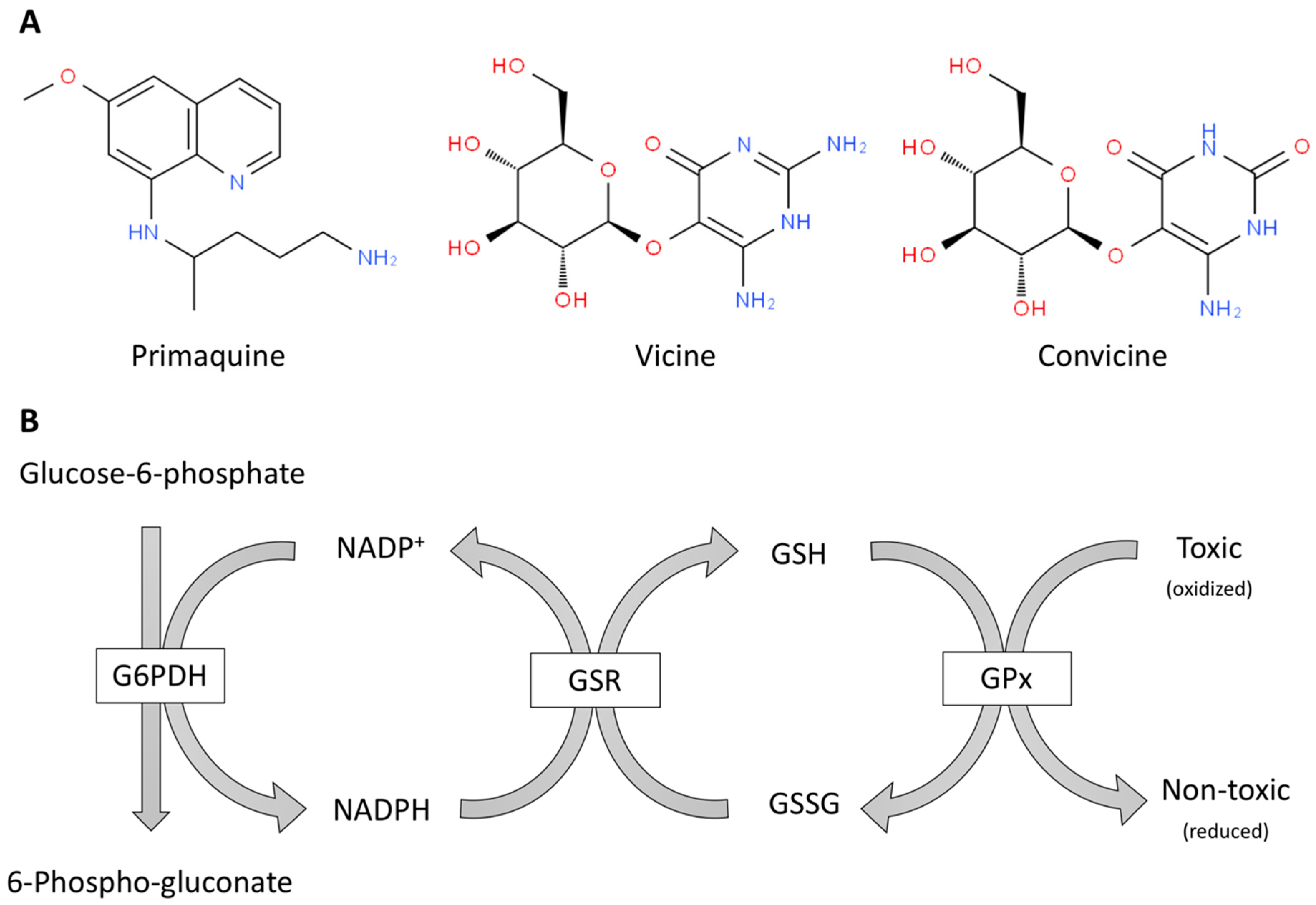 Antioxidants 08 00046 g001