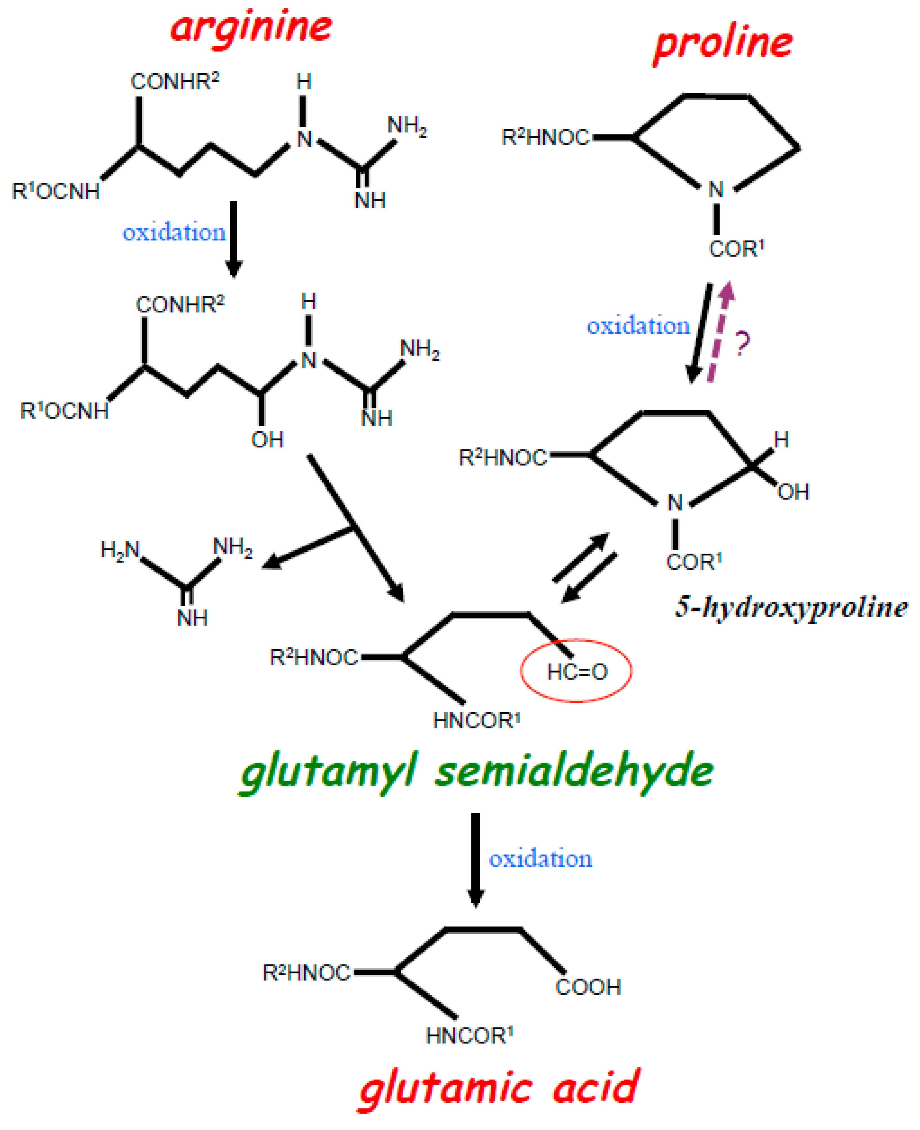Antioxidants 08 00050 g001