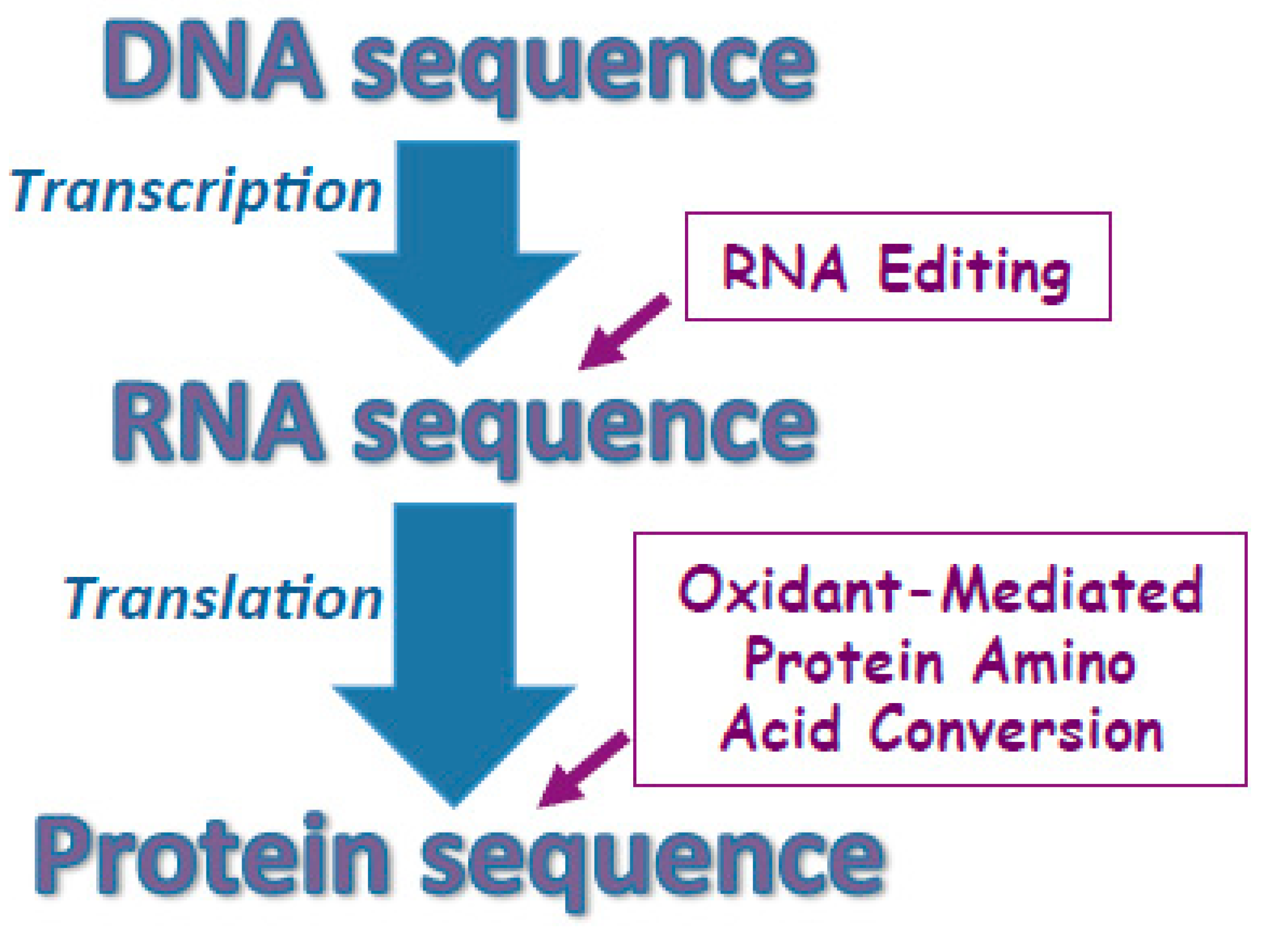 Antioxidants 08 00050 g004