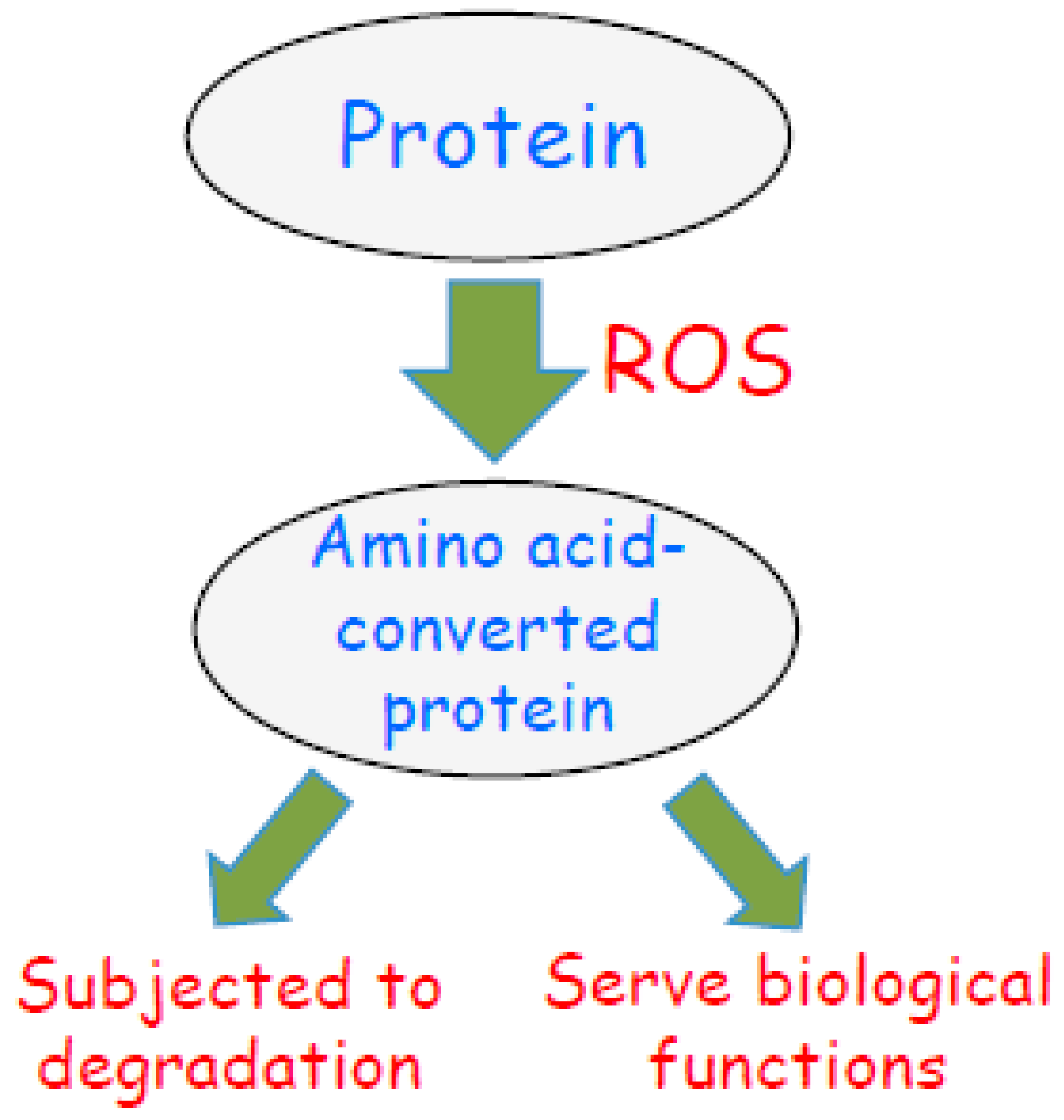 Antioxidants 08 00050 g005