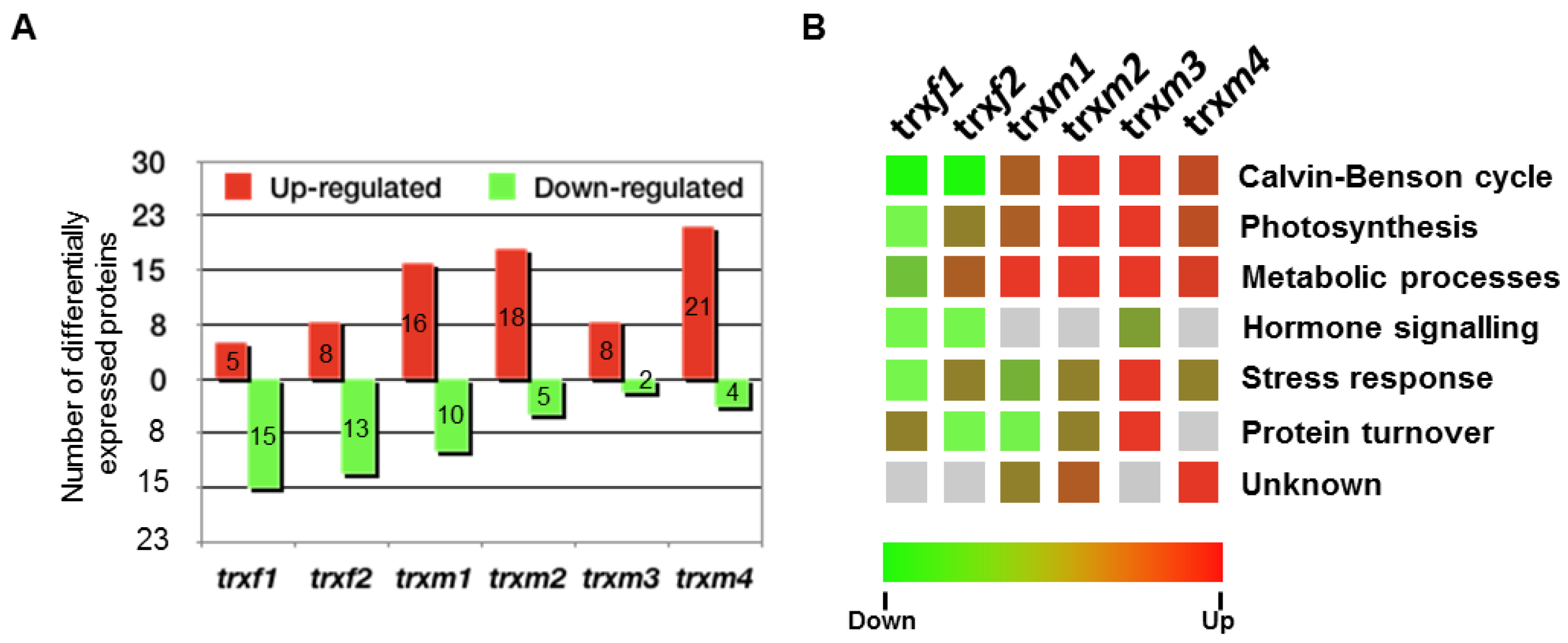 Antioxidants 08 00054 g003