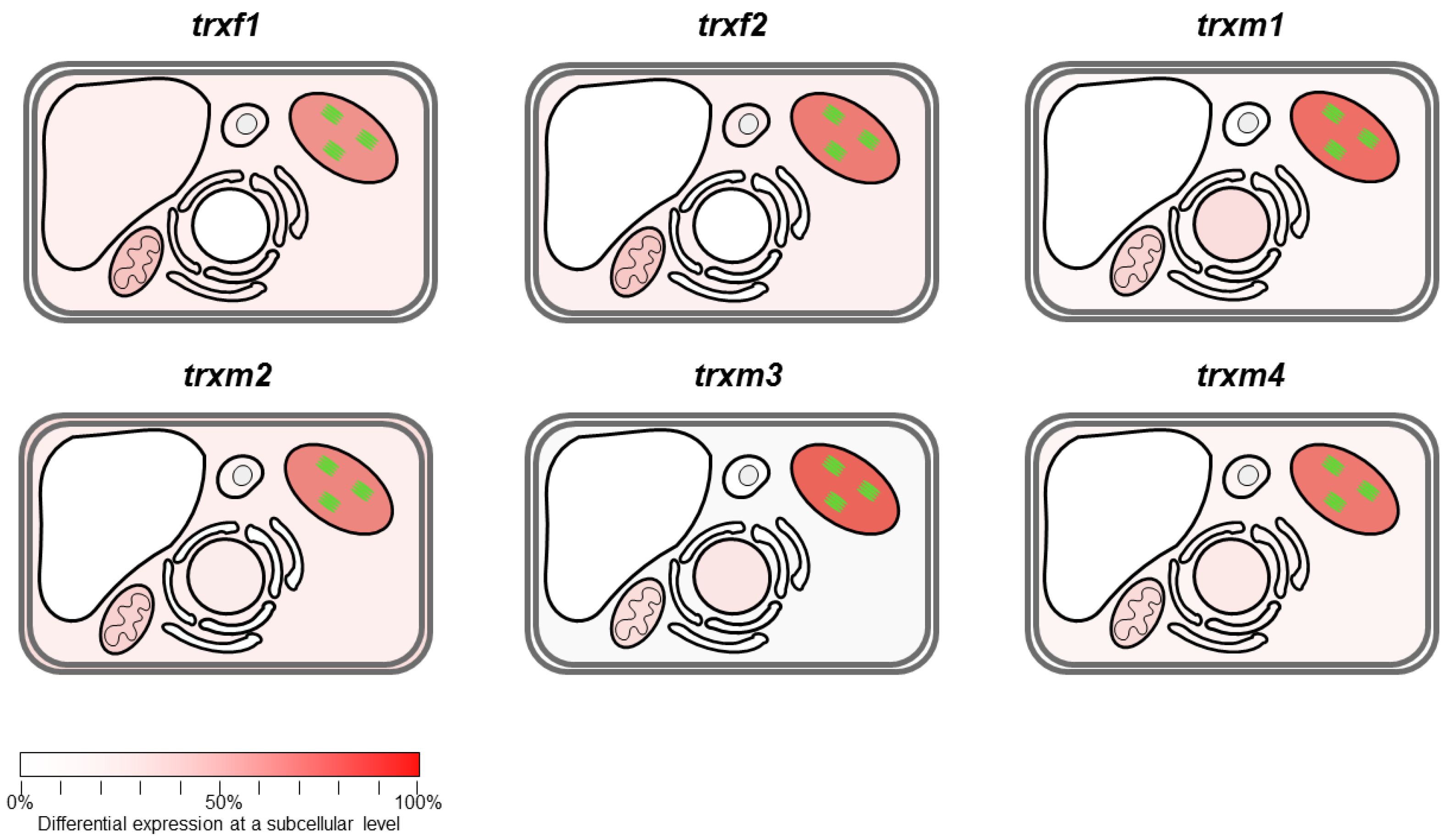 Antioxidants 08 00054 g005