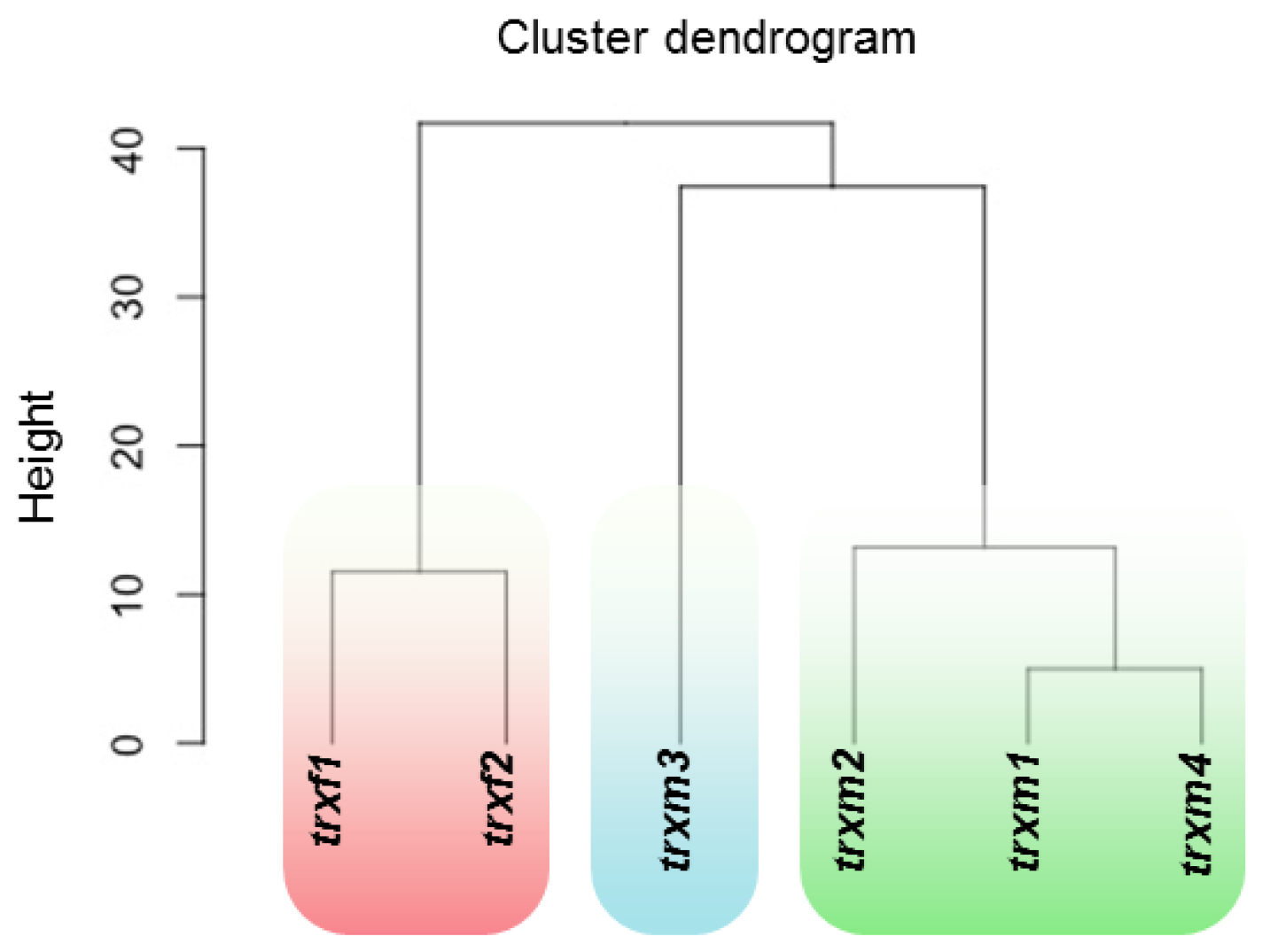 Antioxidants 08 00054 g006