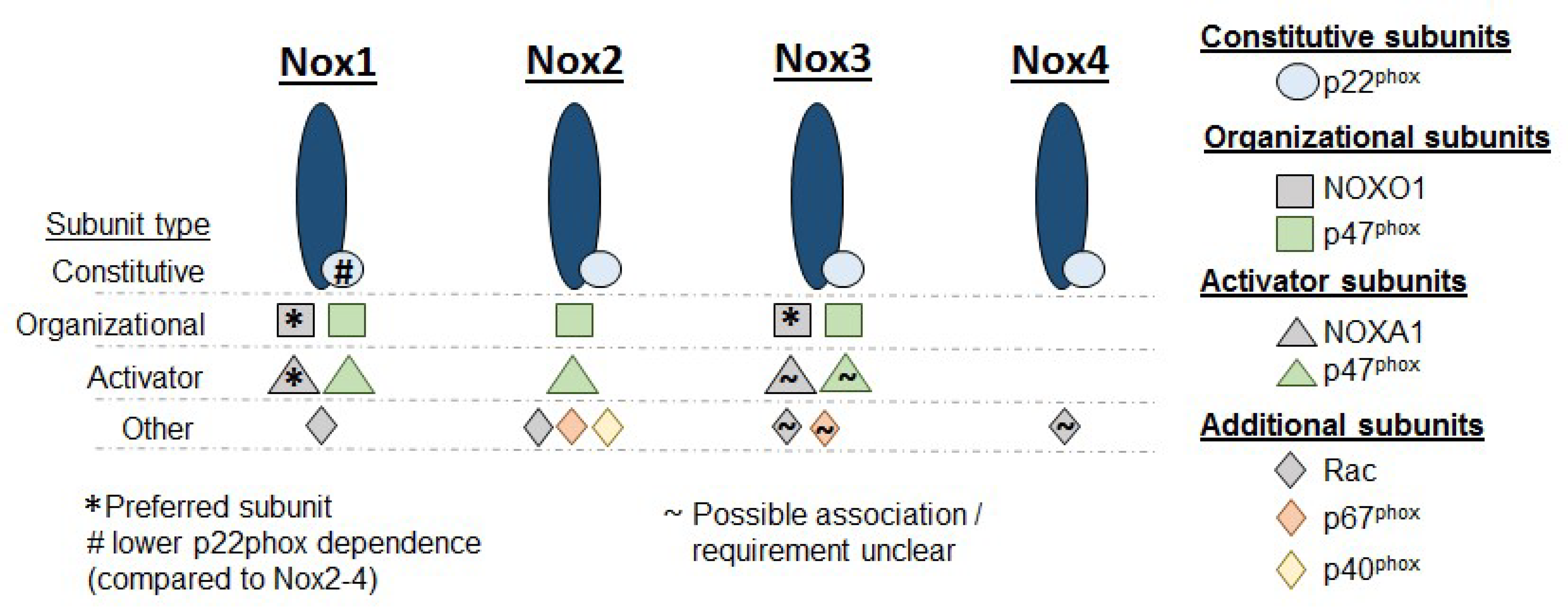 Antioxidants 08 00056 g001