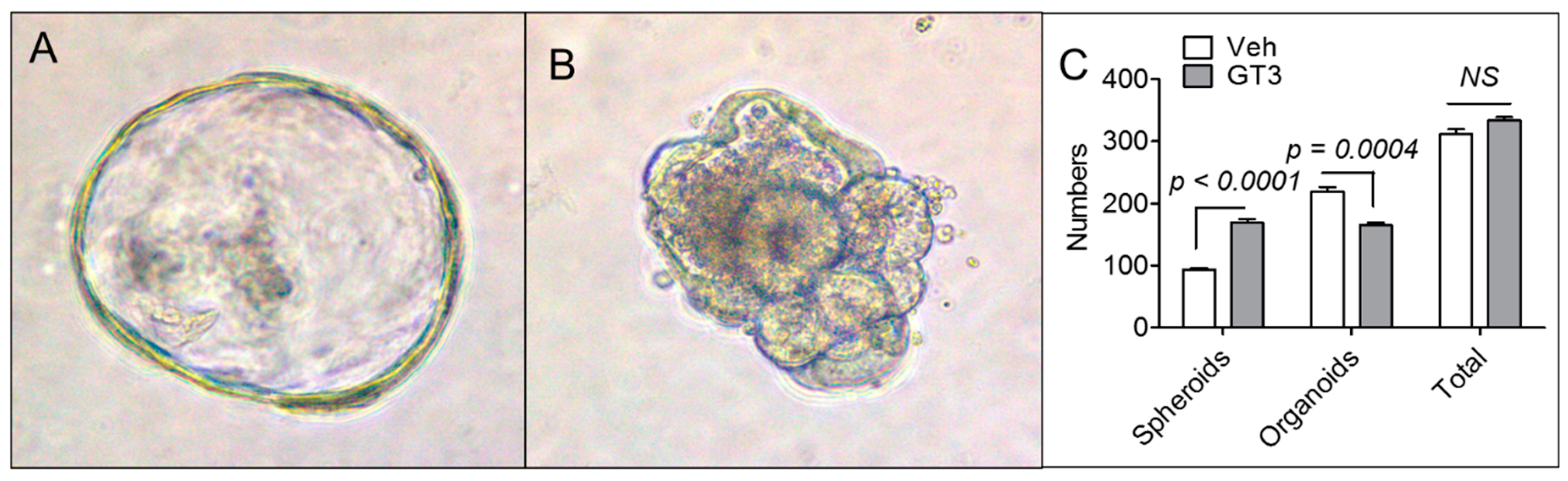 Antioxidants 08 00057 g004