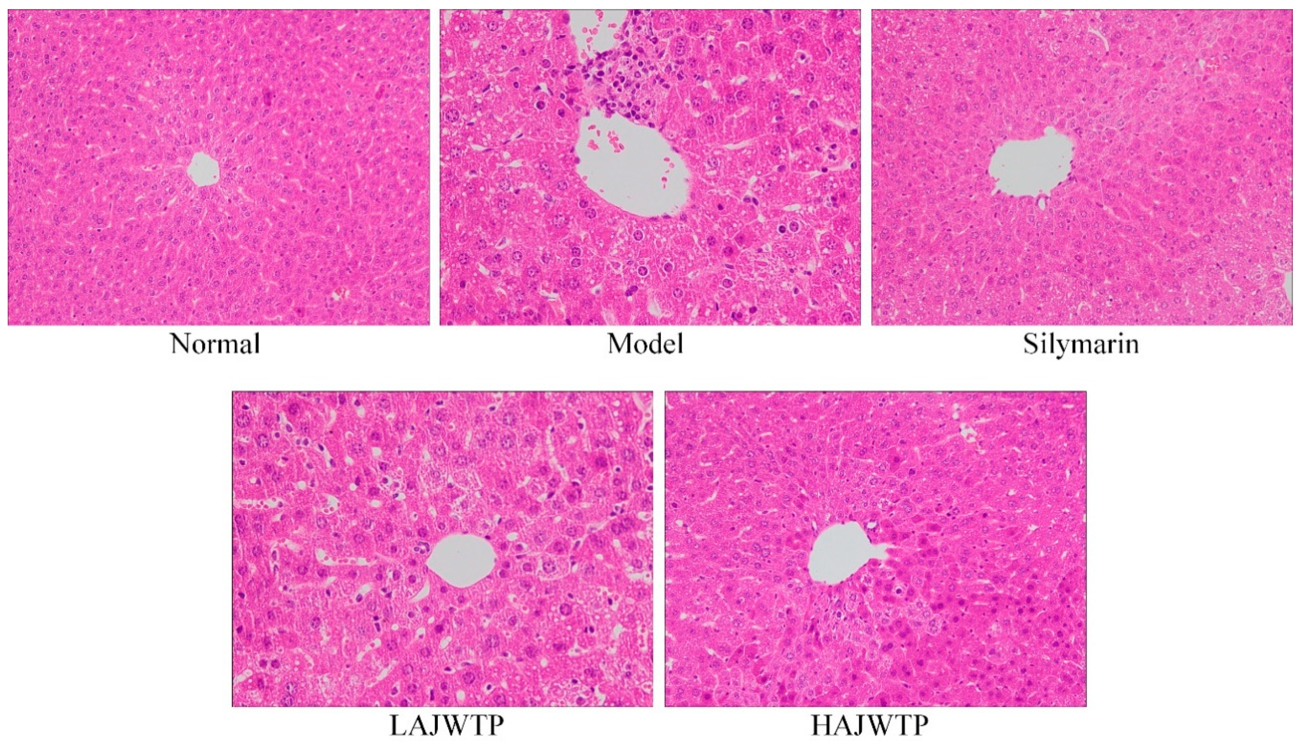 Antioxidants 08 00064 g003