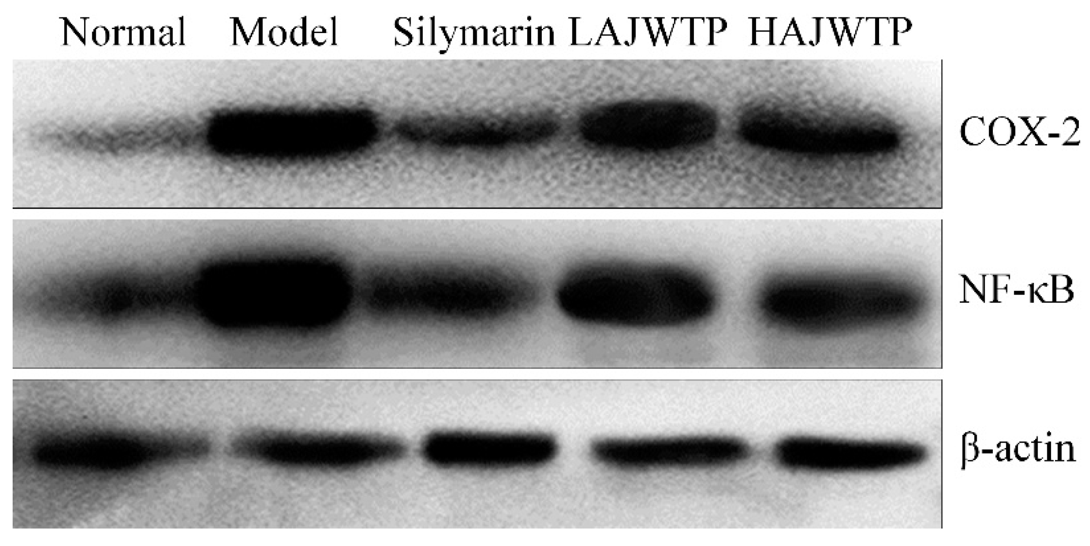 Antioxidants 08 00064 g007